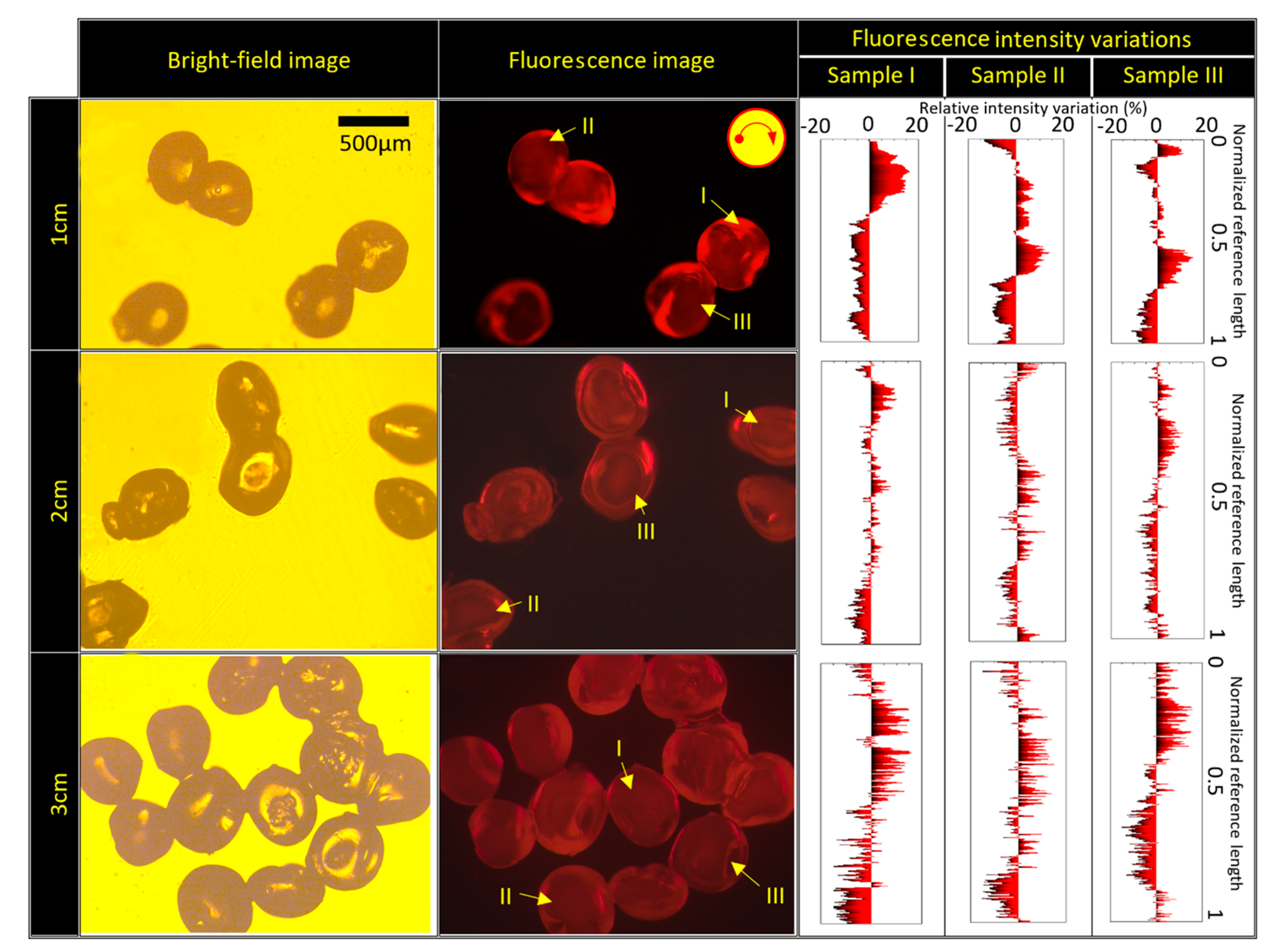 Micromachines 13 00881 g010