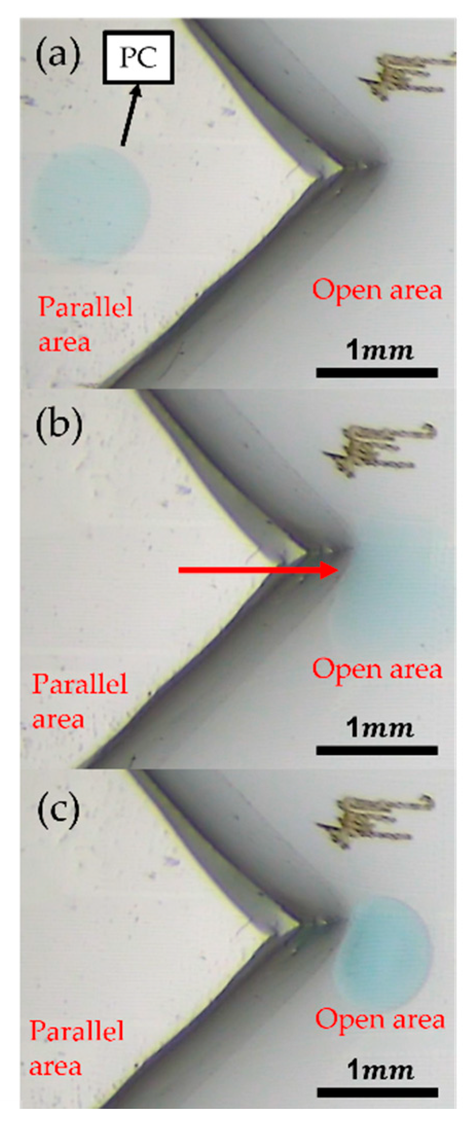 Micromachines 13 00898 g006
