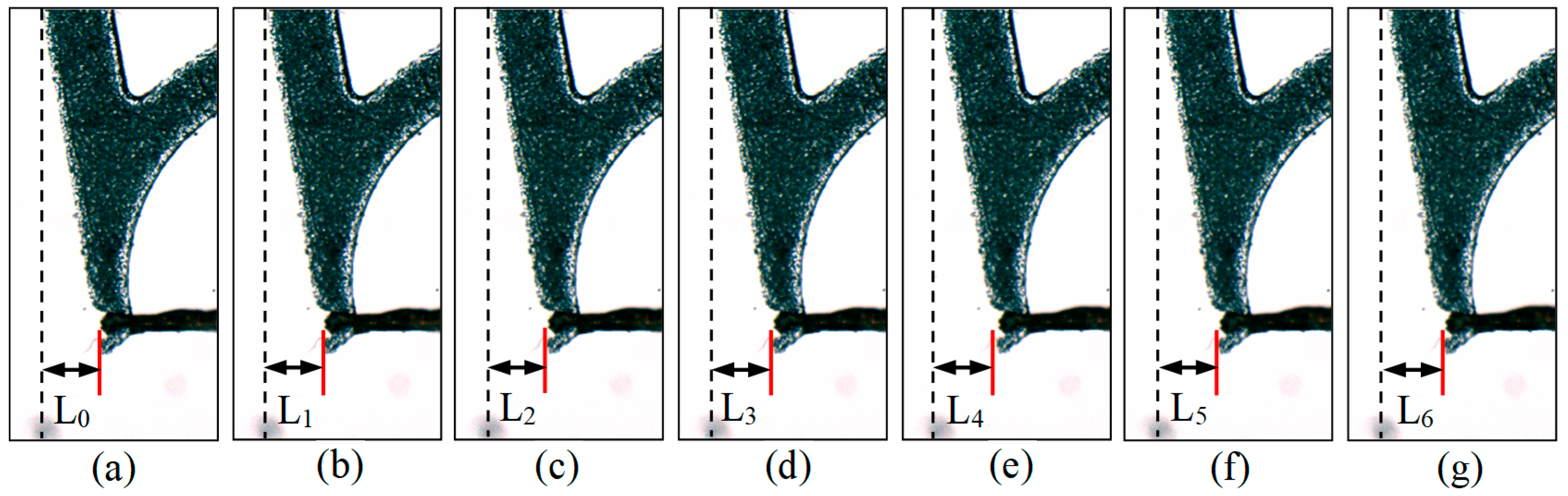 Micromachines 13 00925 g017