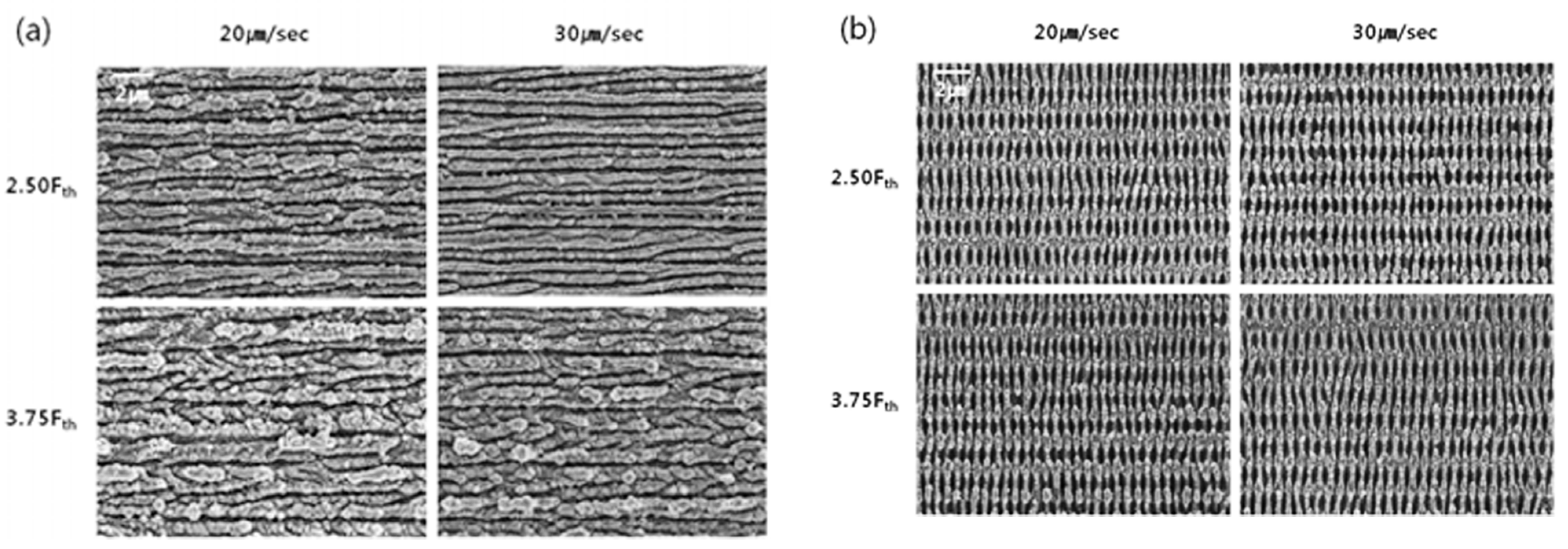 Micromachines 13 00976 g004