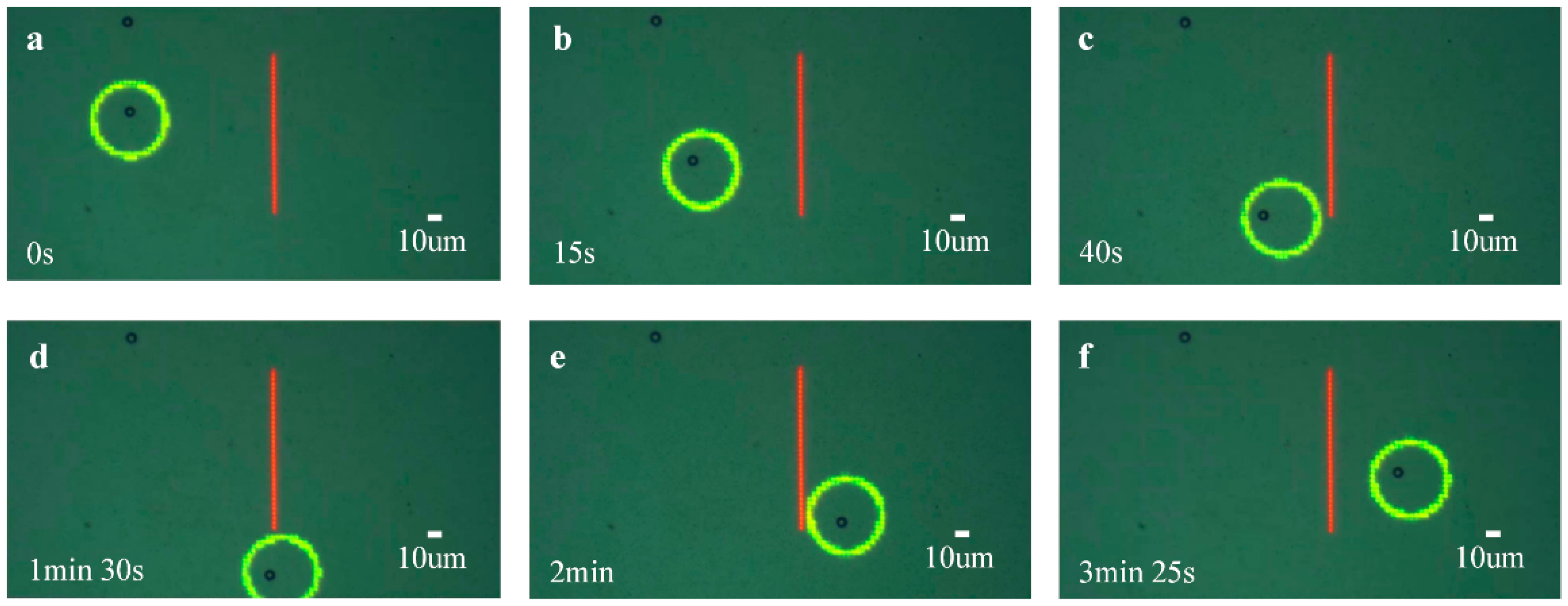 Micromachines 13 00985 g009