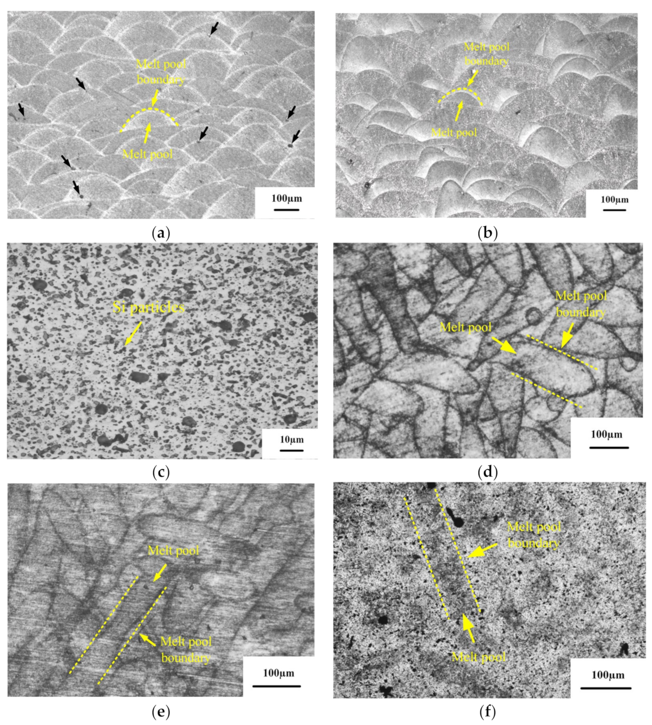 Micromachines 13 01059 g006