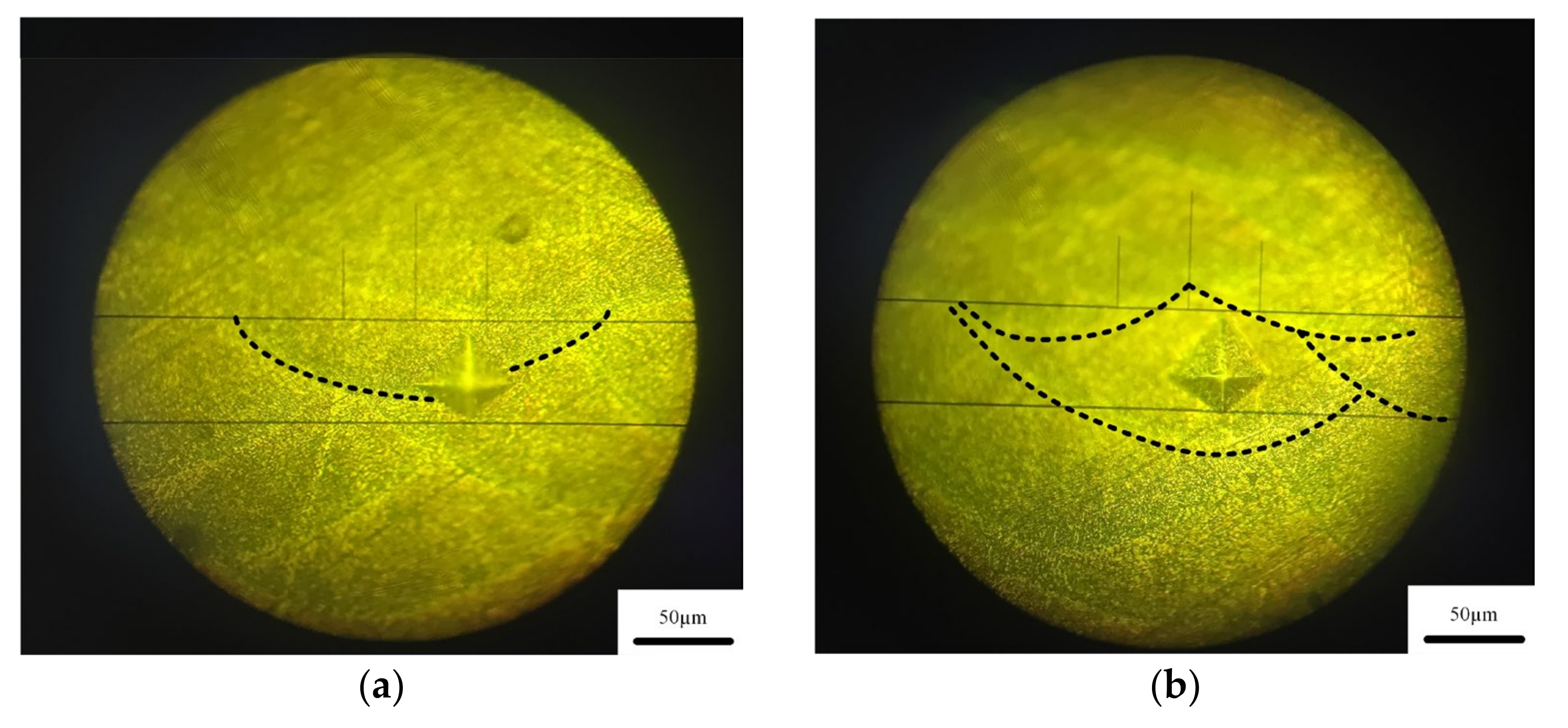 Micromachines 13 01059 g013