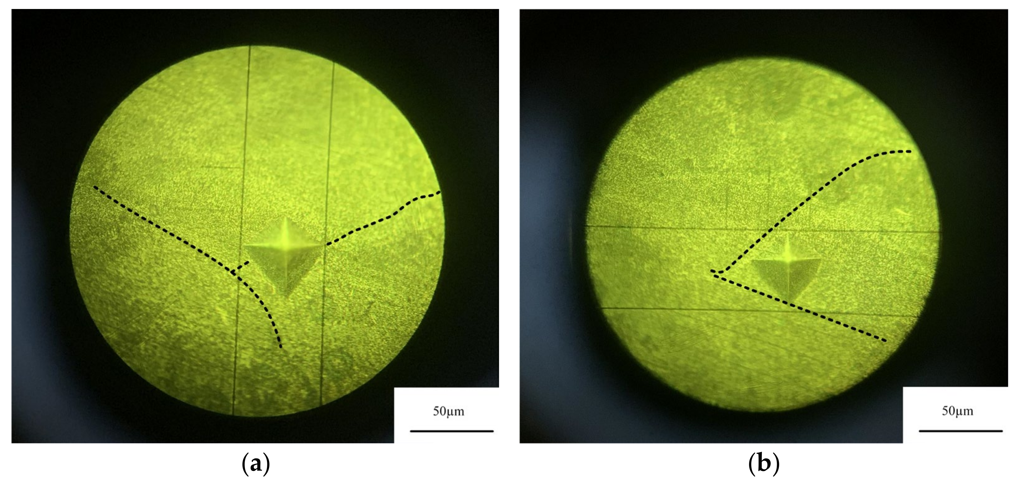 Micromachines 13 01059 g014