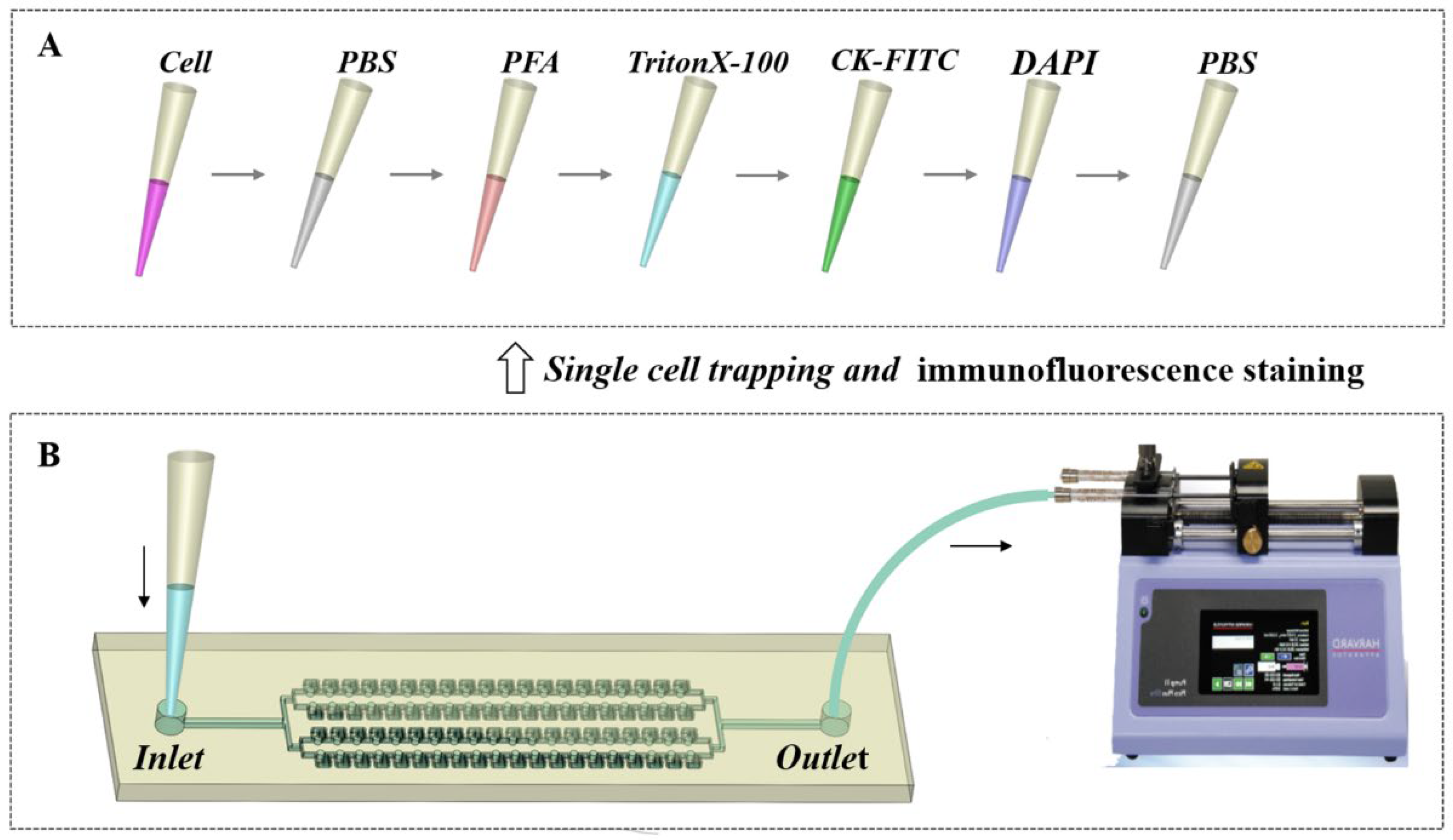 Micromachines 13 01272 g002