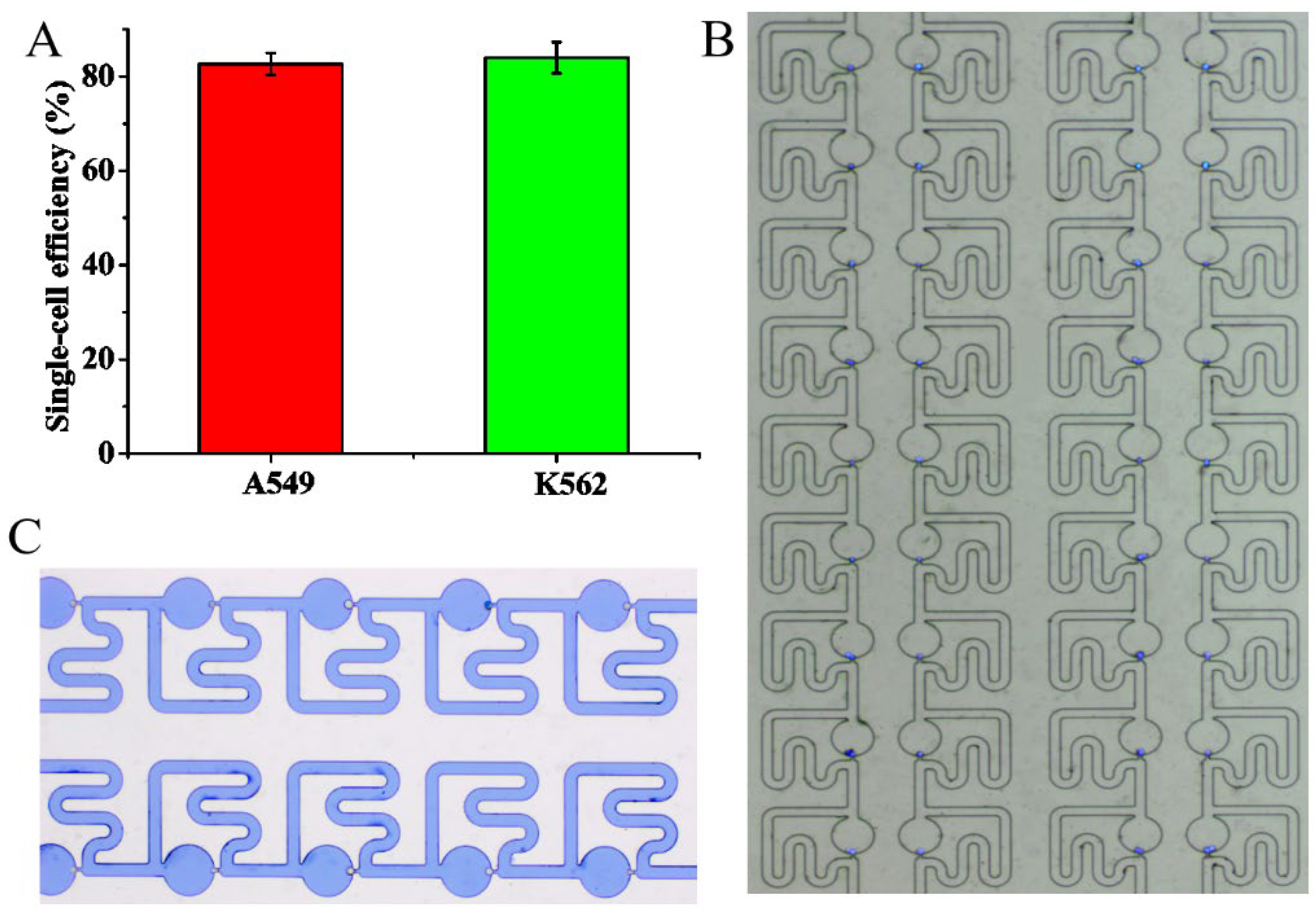 Micromachines 13 01272 g006