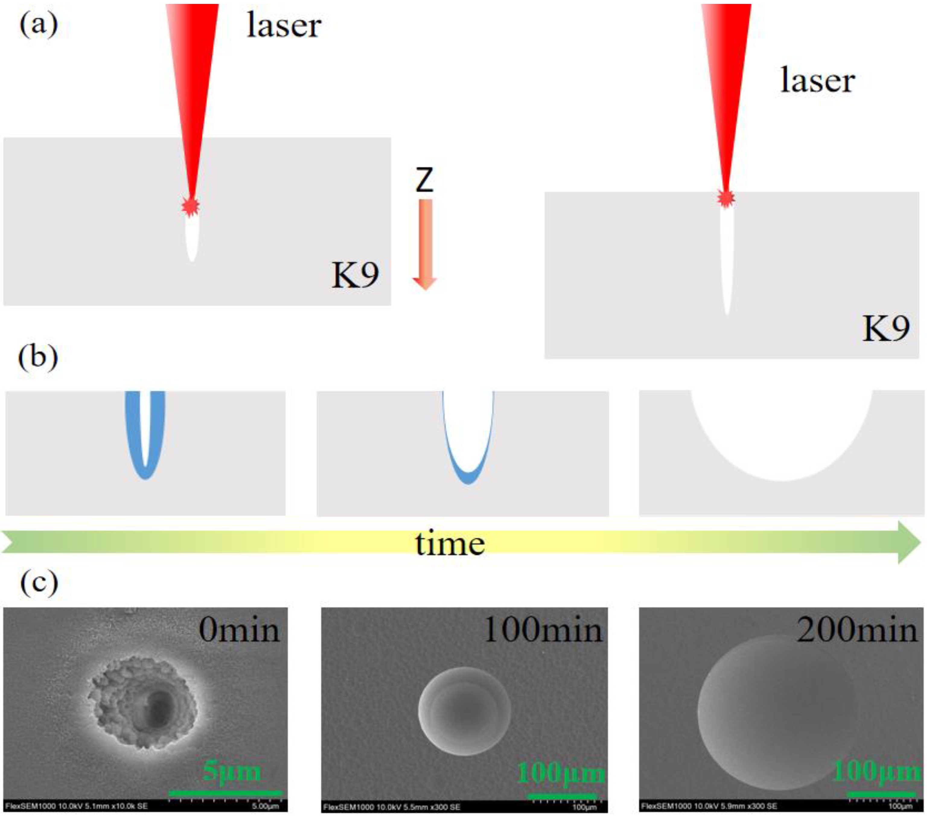 Micromachines | Free Full-Text | Femtosecond Laser Fabrication of  Submillimeter Microlens Arrays with Tunable Numerical Apertures