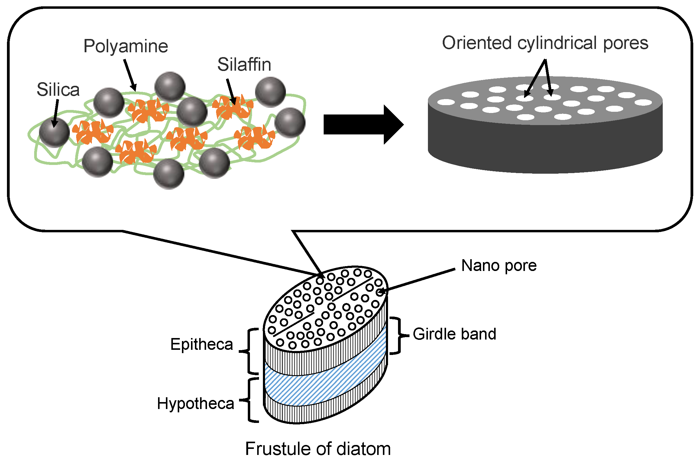 Micromachines 13 01358 g003