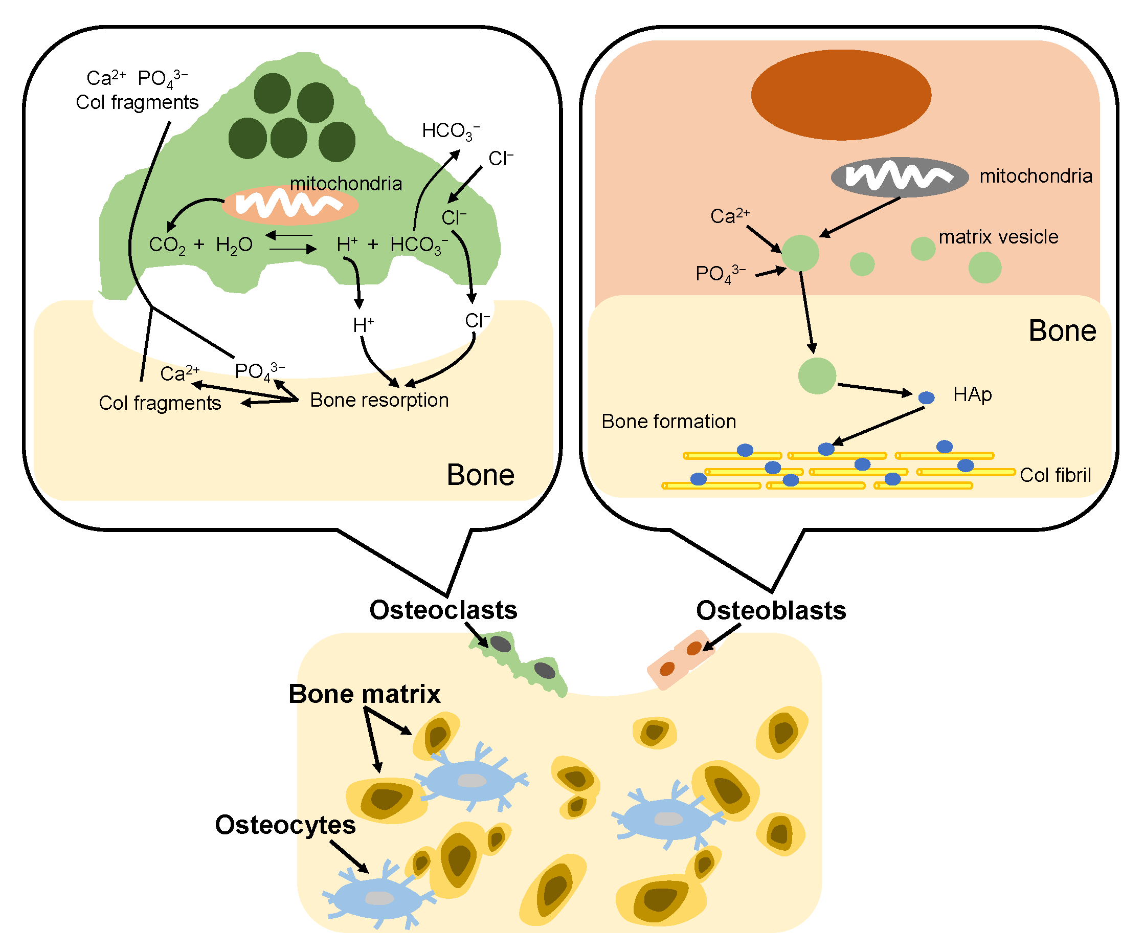 Micromachines 13 01358 g007
