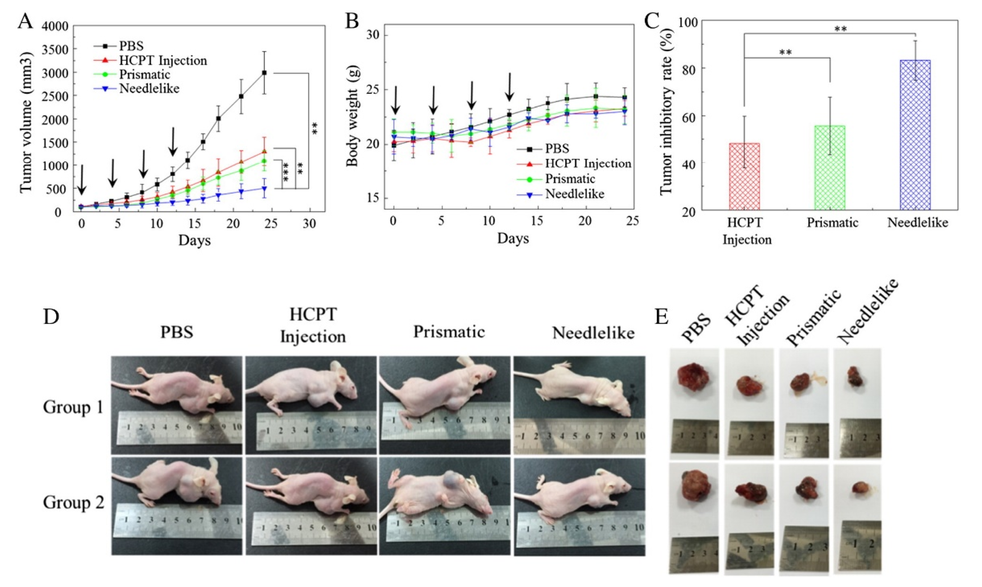 Micromachines 13 01449 g002