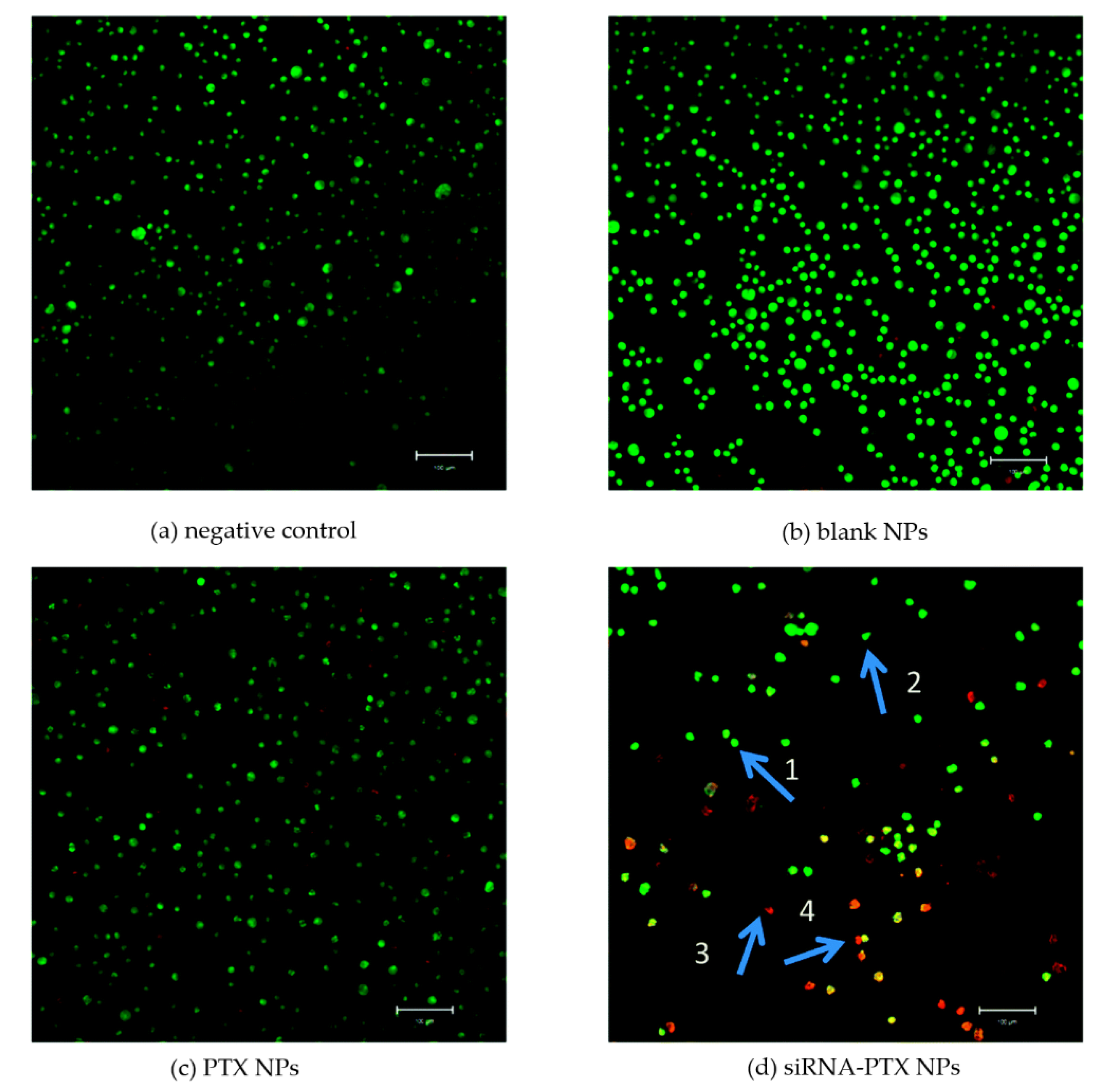 Micromachines 13 01449 g004