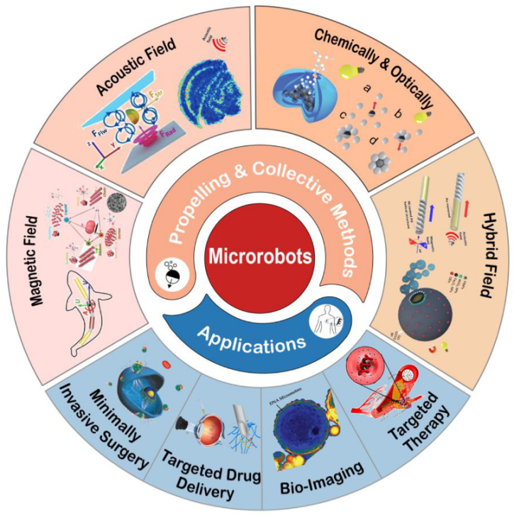 Micromachines | Free Full-Text | Recent Process in Microrobots: From  Propulsion to Swarming for Biomedical Applications