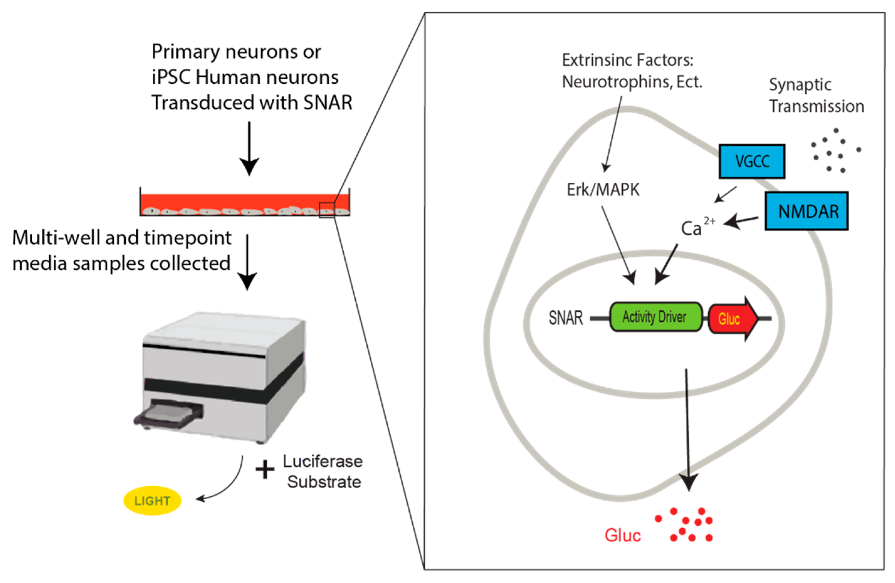 Micromachines 13 01500 g002 Micromachines 13 01500 g002