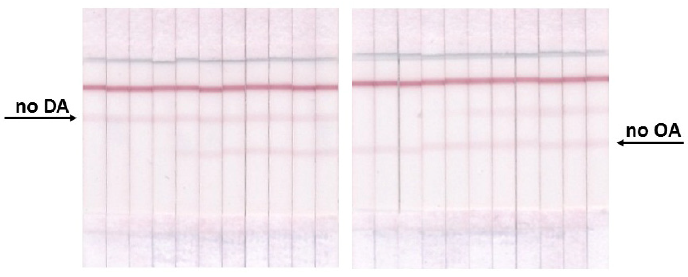 Micromachines 13 01506 g006