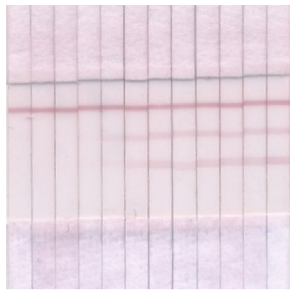 Micromachines 13 01506 g007