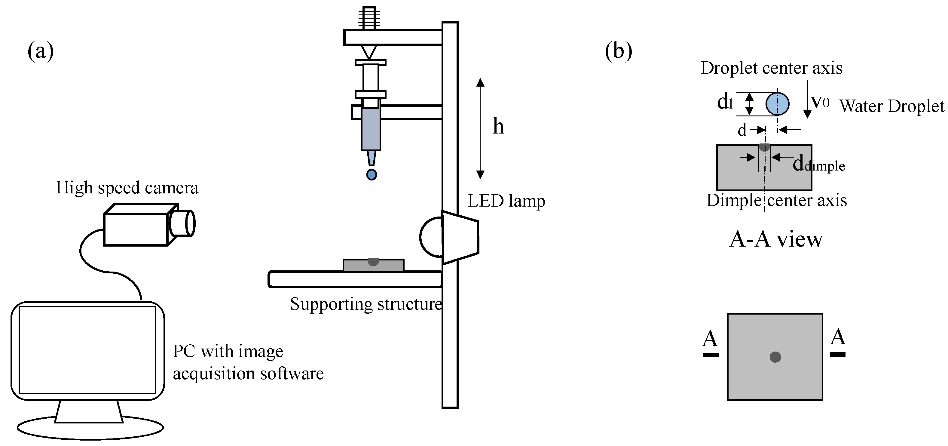 Dynamics of microdroplets over the surface of hot water