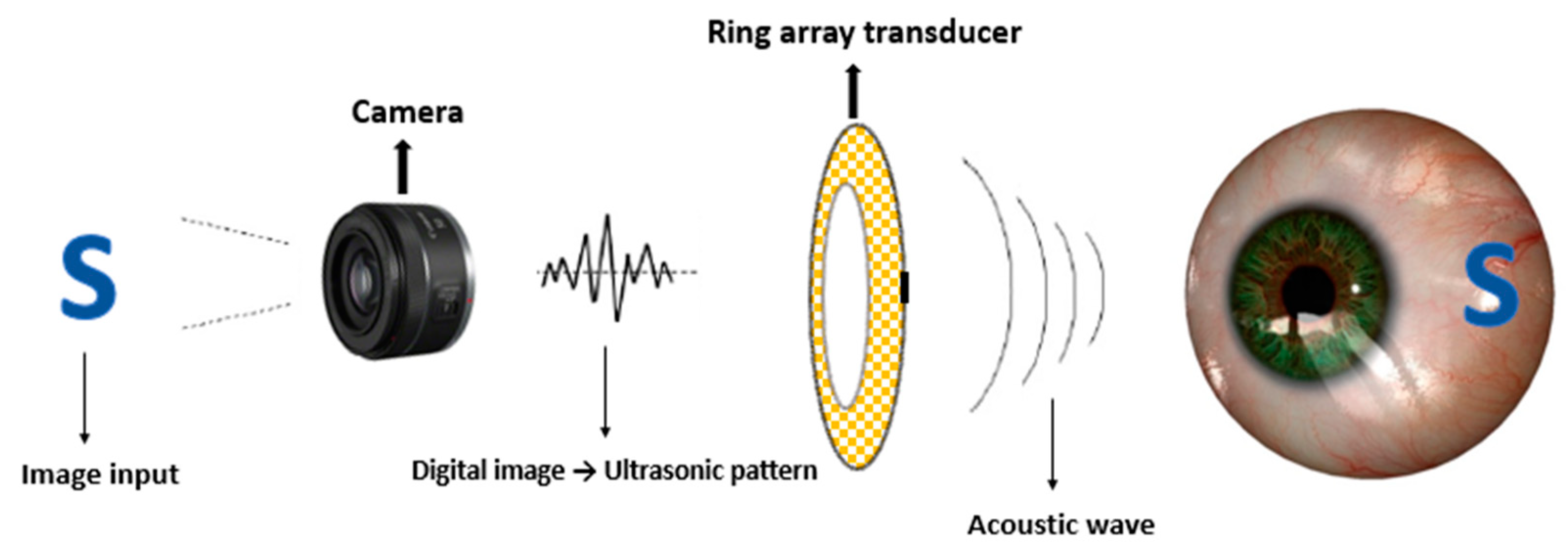 Micromachines | Free Full-Text | Design and Simulation of a Ring