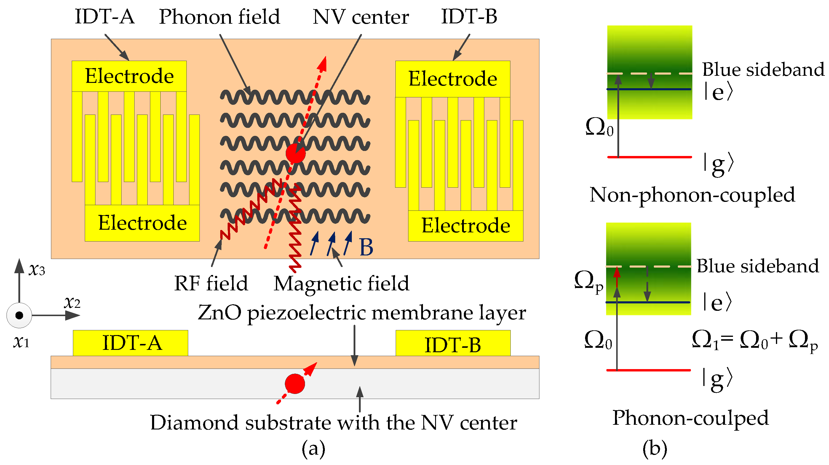 Micromachines 13 01628 g001