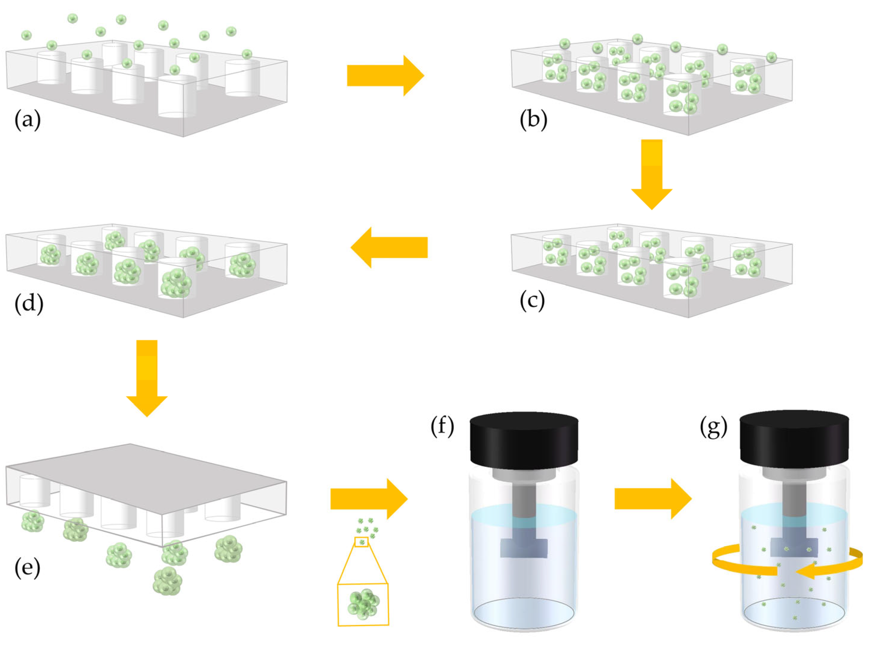 Micromachines 13 01645 g001a