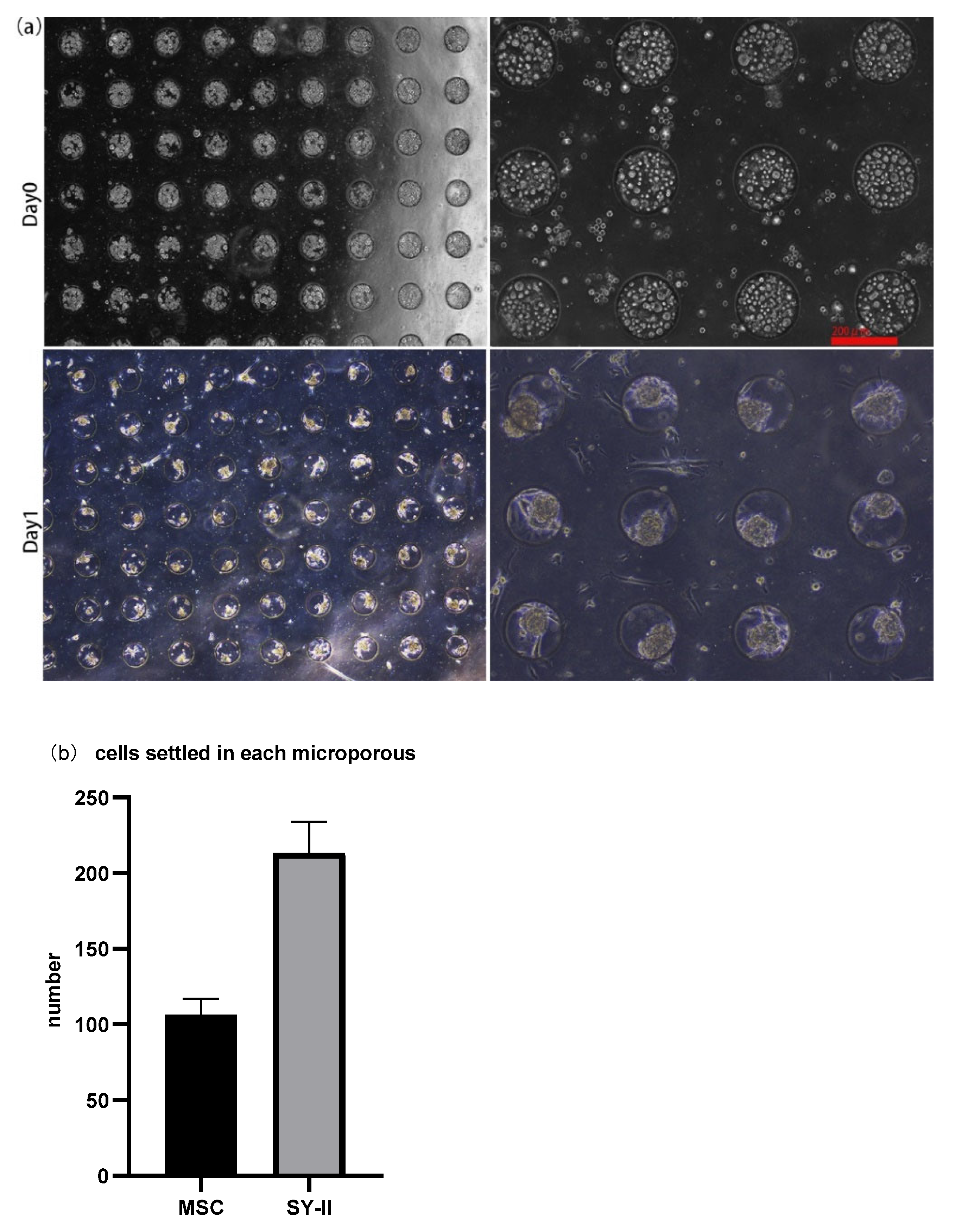 Micromachines 13 01645 g002