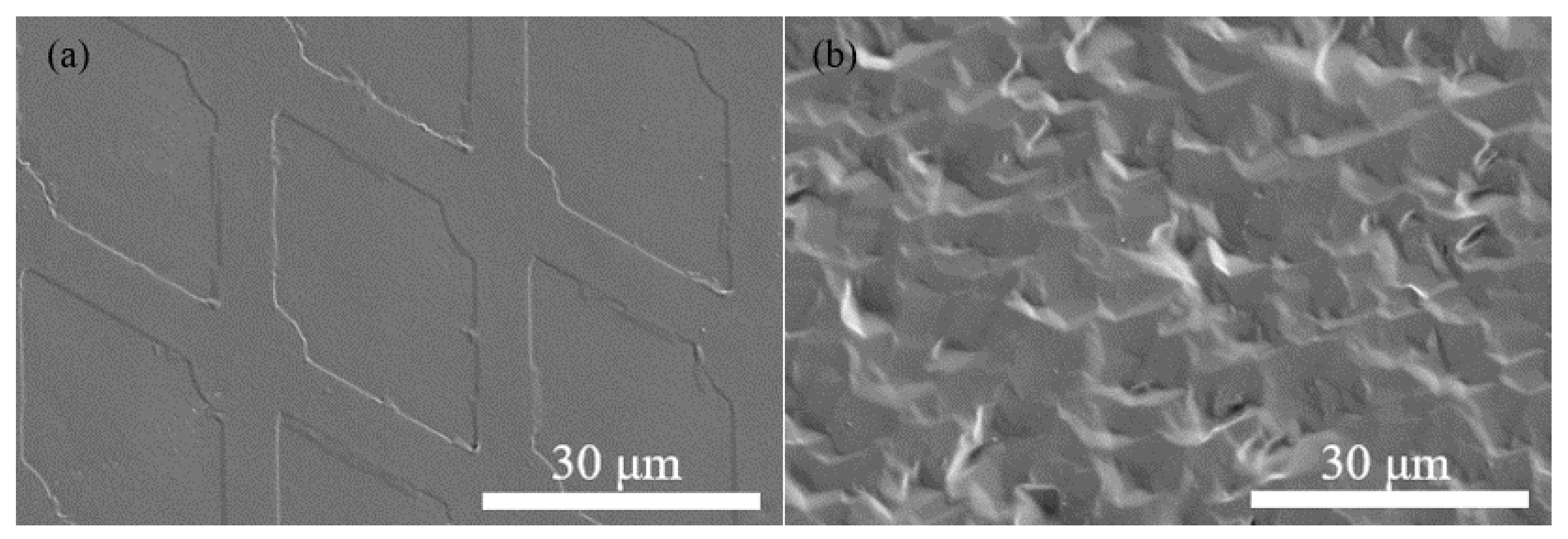 Micromachines 13 01651 g003 Micromachines 13 01651 g003