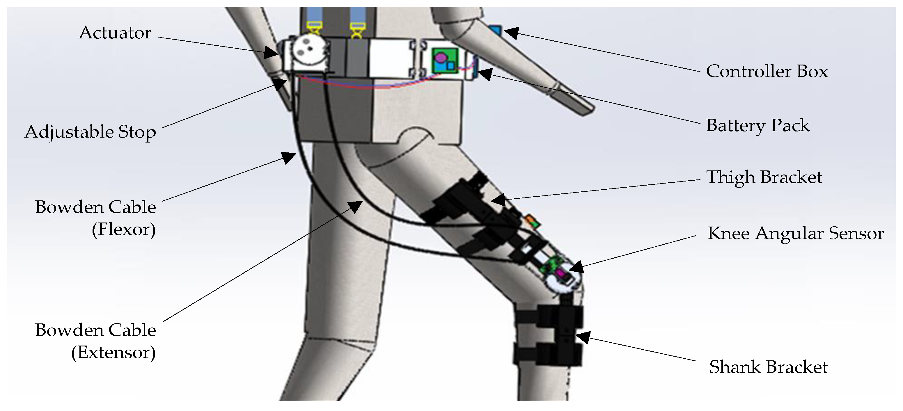 Micromachines | Free Full-Text | Learning-Based Repetitive Control of a  Bowden-Cable-Actuated Exoskeleton with Frictional Hysteresis