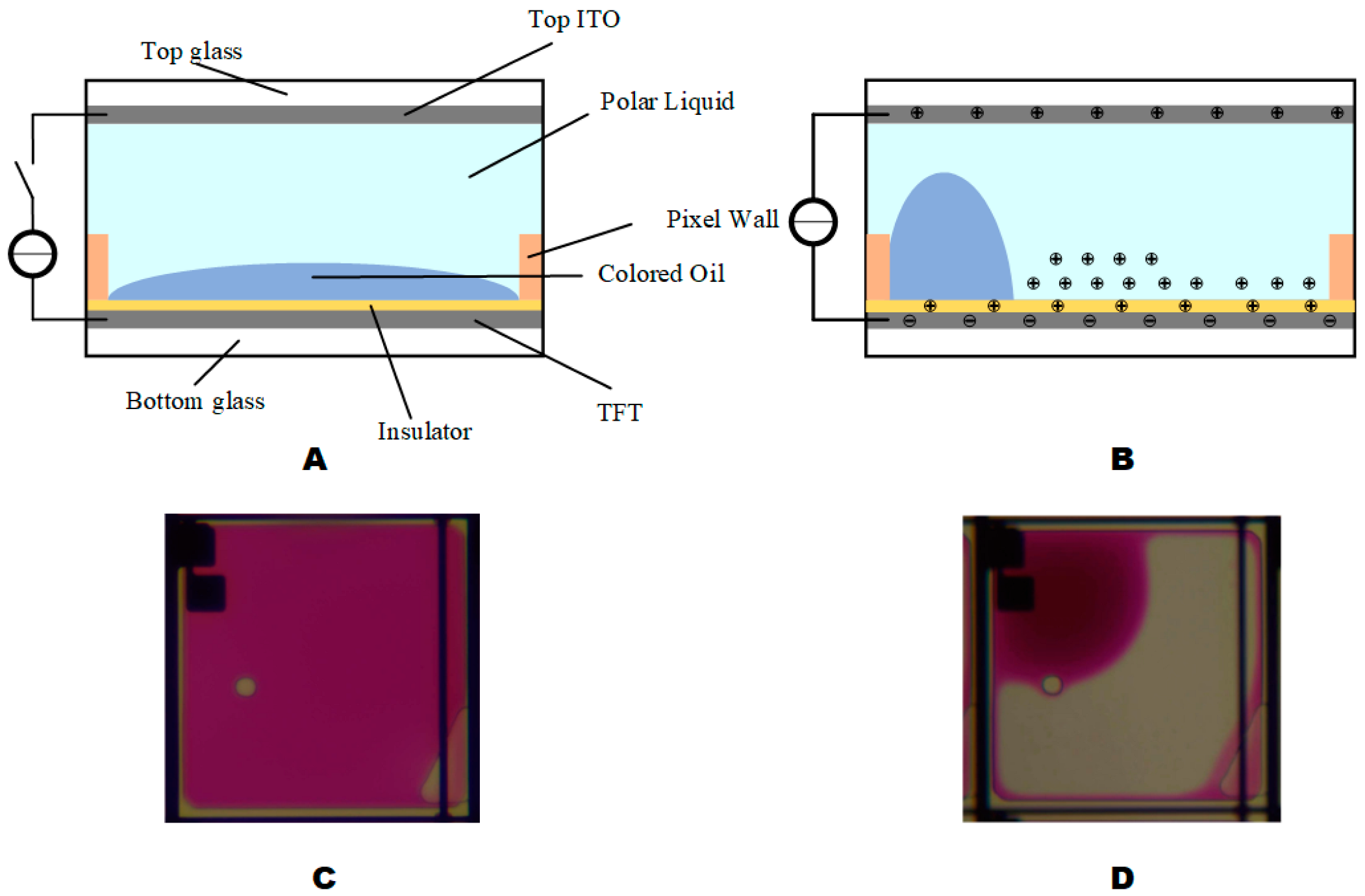 Micromachines 13 01791 g001