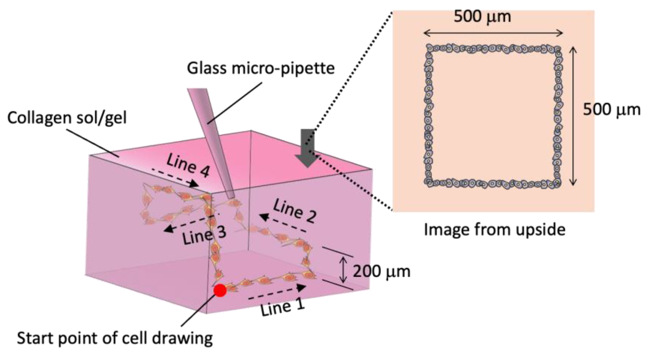 Micromachines 13 01866 g003 Micromachines 13 01866 g003