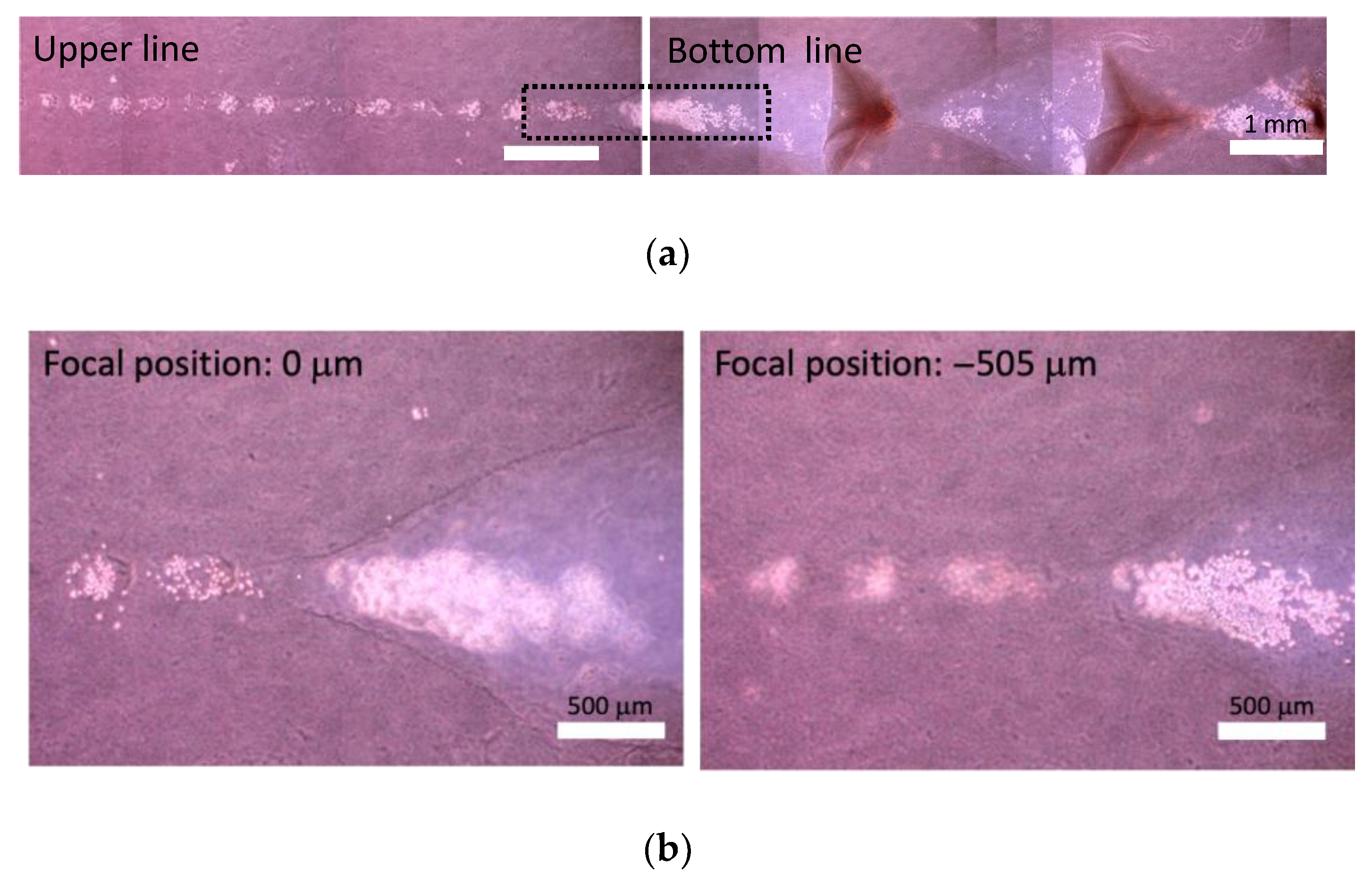 Micromachines 13 01866 g005 Micromachines 13 01866 g005