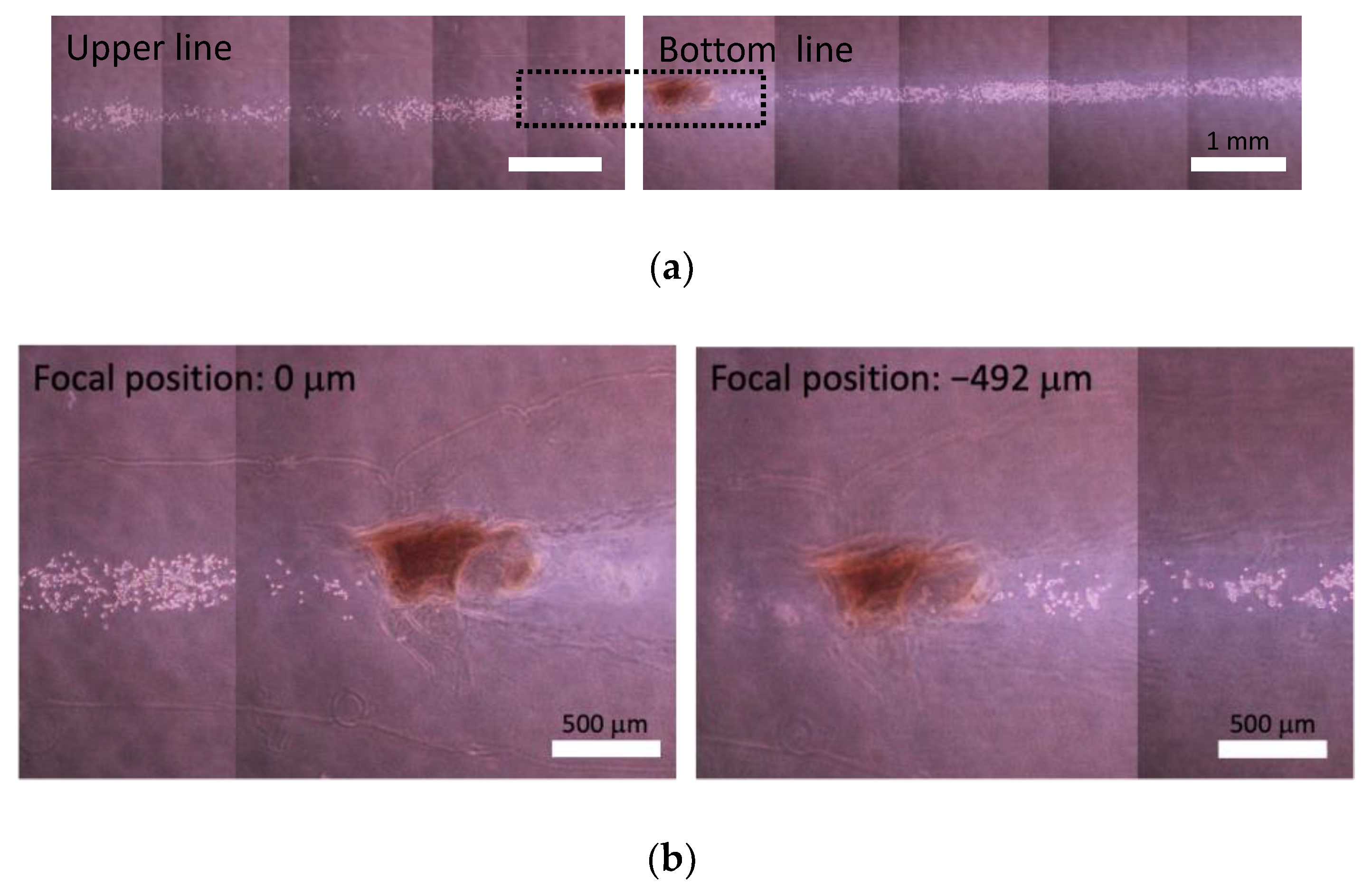 Micromachines 13 01866 g006 Micromachines 13 01866 g006
