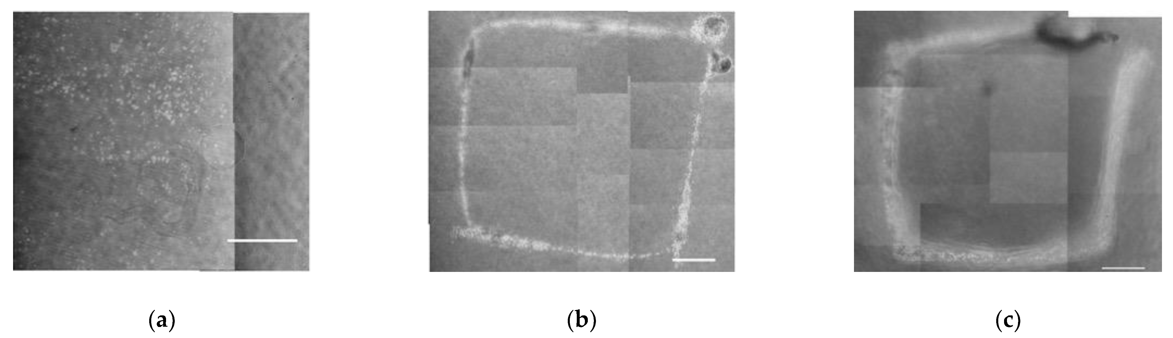 Micromachines 13 01866 g008 Micromachines 13 01866 g008