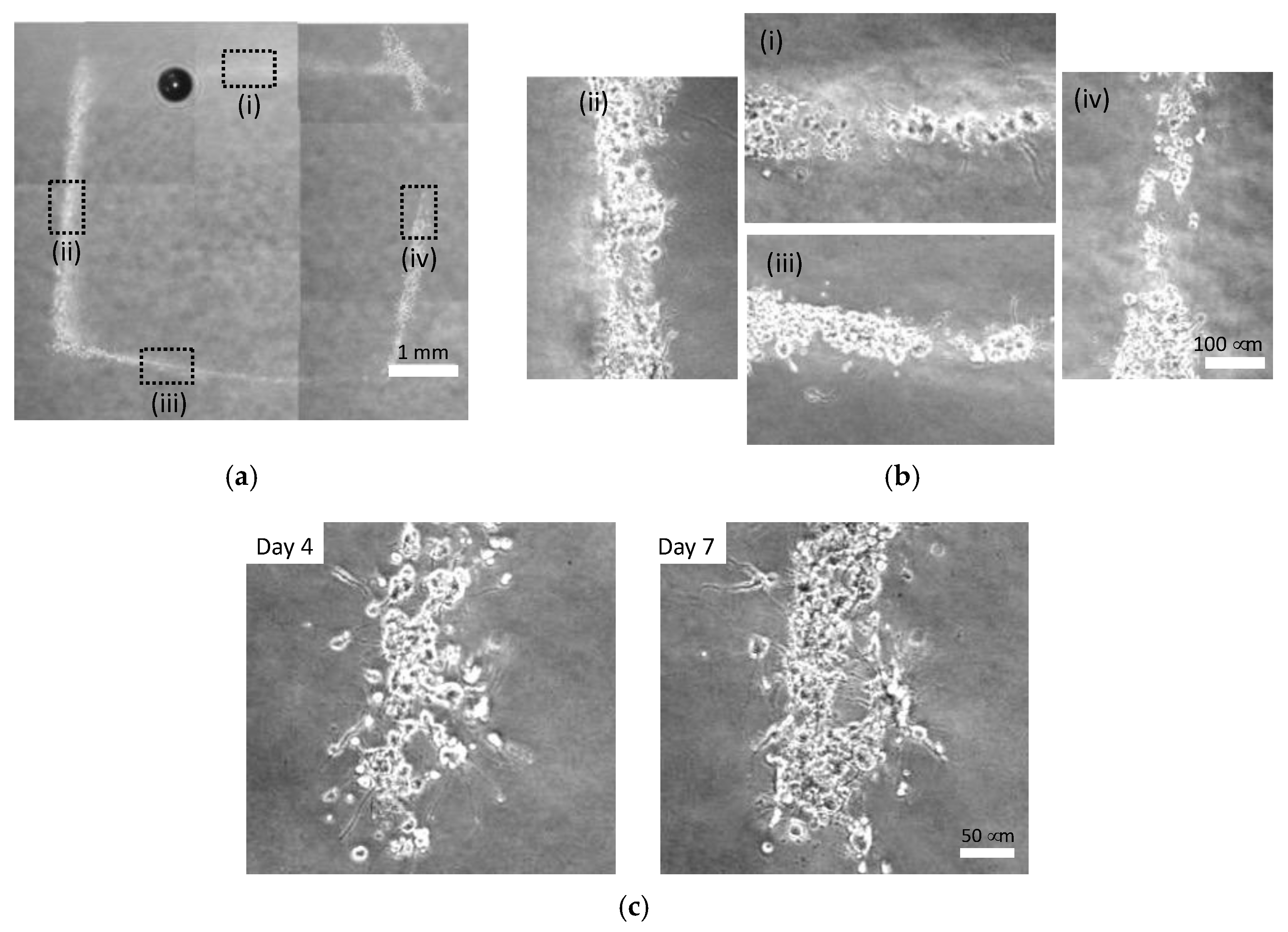 Micromachines 13 01866 g010 Micromachines 13 01866 g010
