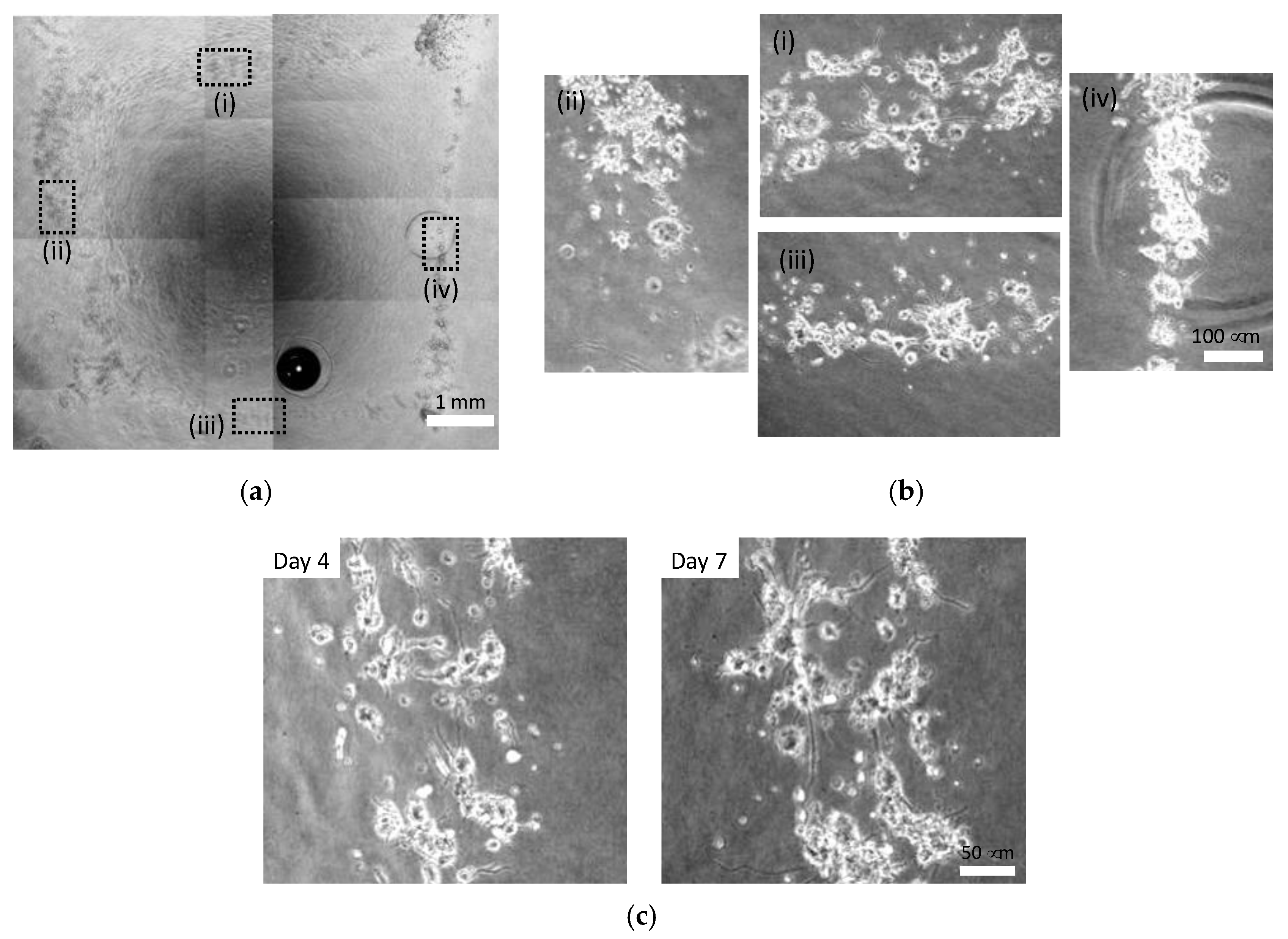 Micromachines 13 01866 g011 Micromachines 13 01866 g011