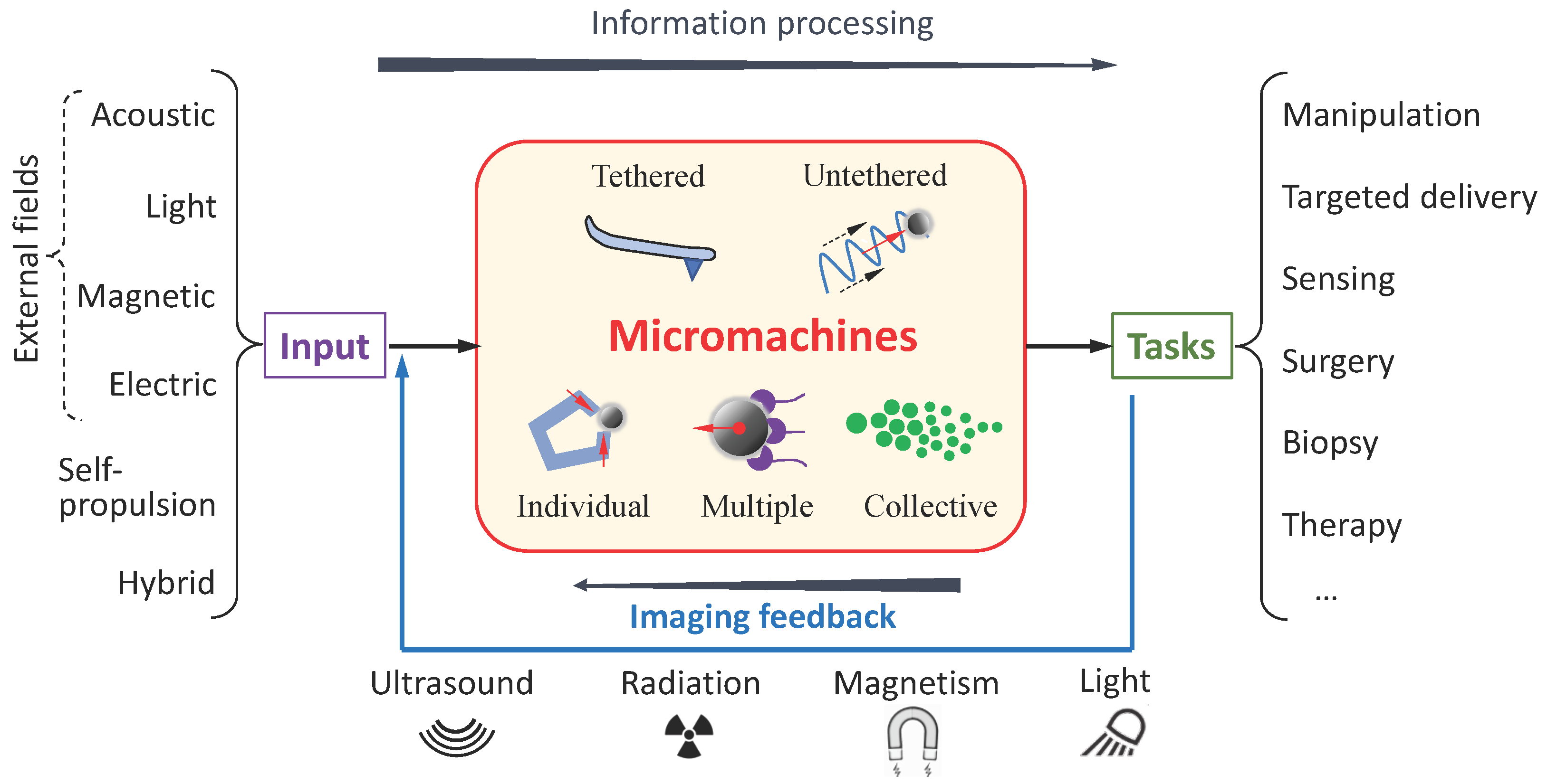 Micromachines | Free Full-Text | Imaging-Guided Micromachines: Towards ...