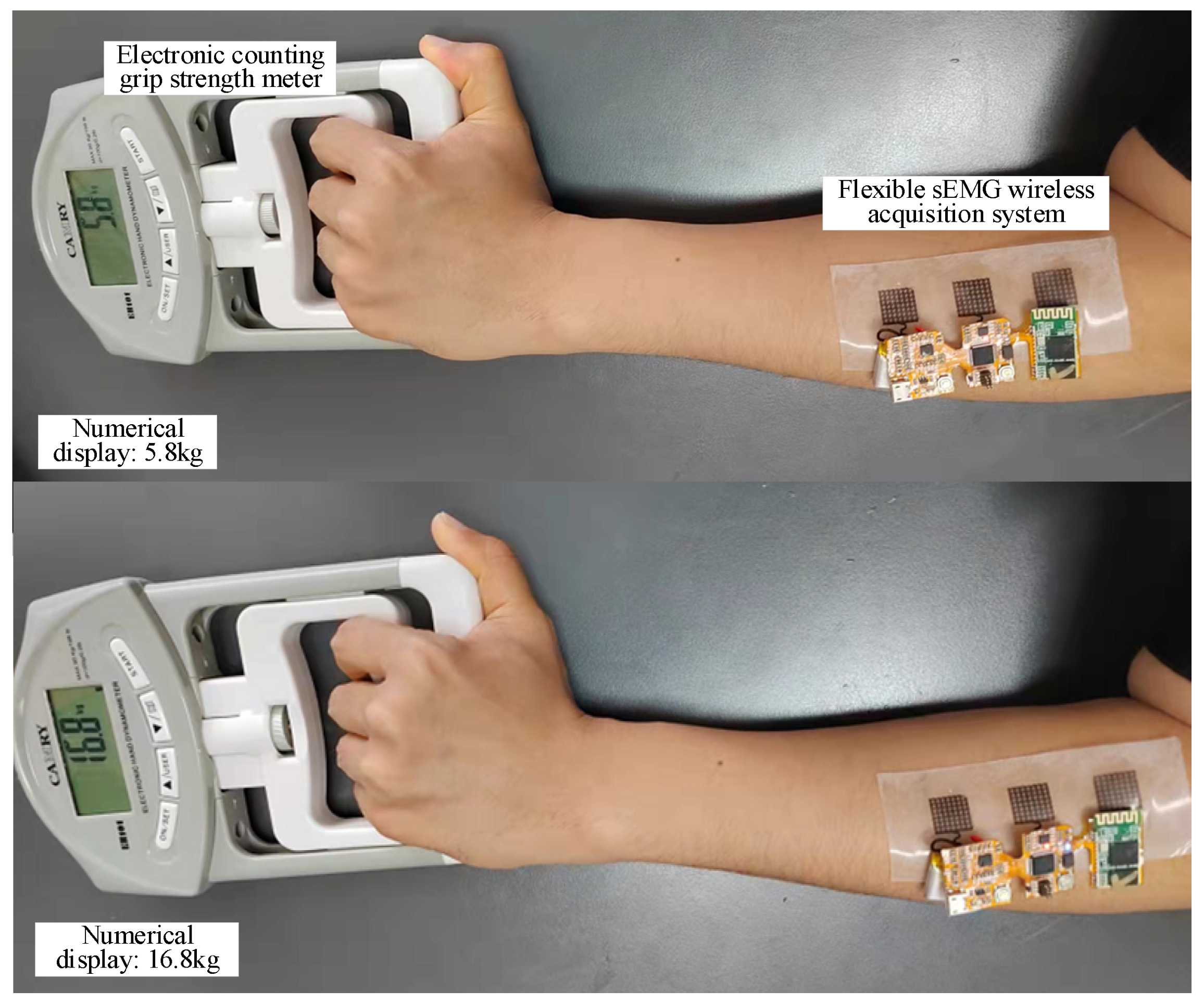 Scale Hand-grip Intell Digital 25kg