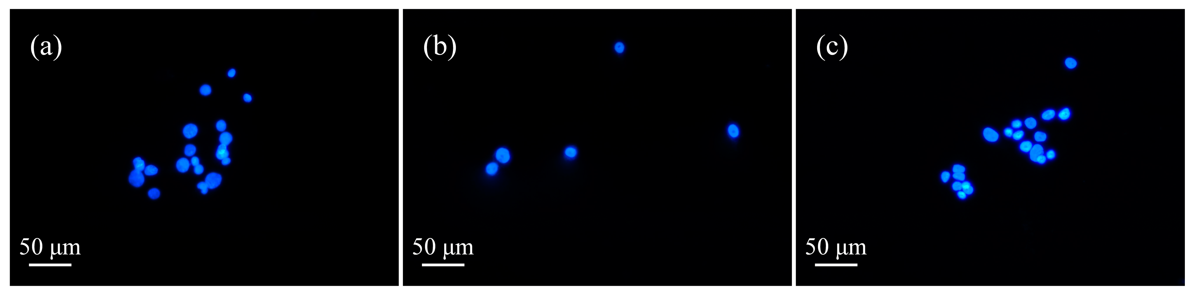 Micromachines 13 02145 g008