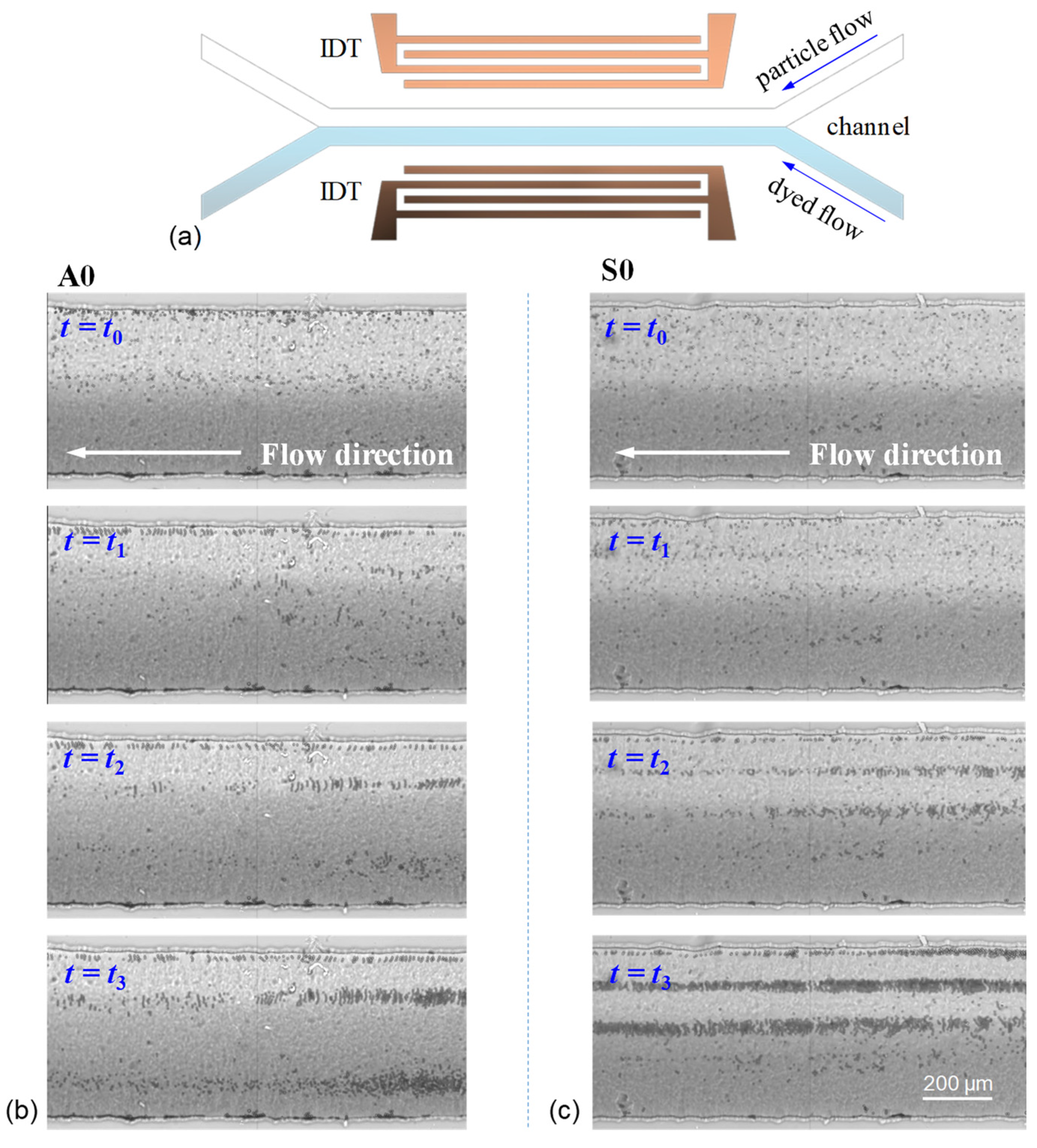Micromachines 13 02175 g009