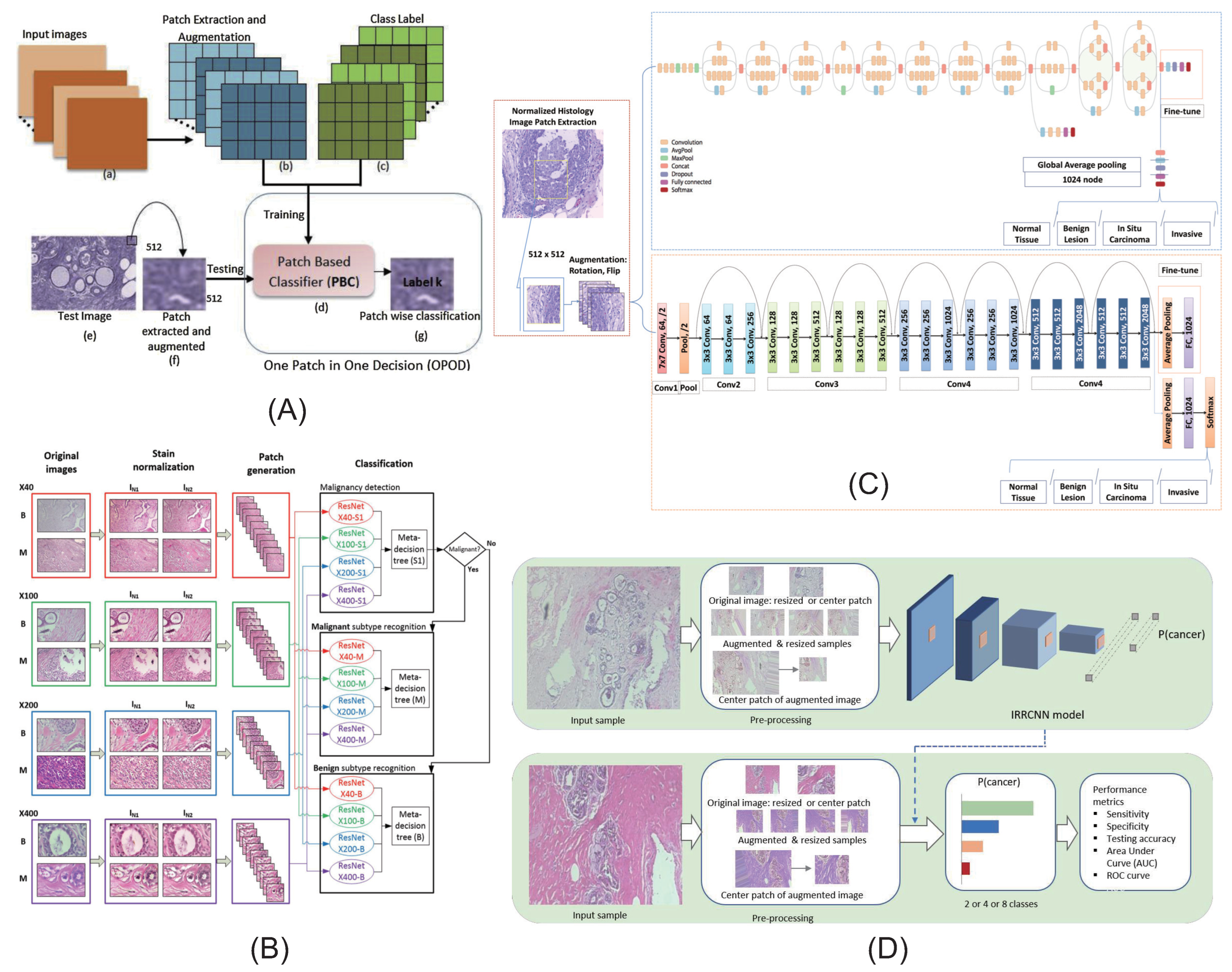 Deep neural network models for computational histopathology: A