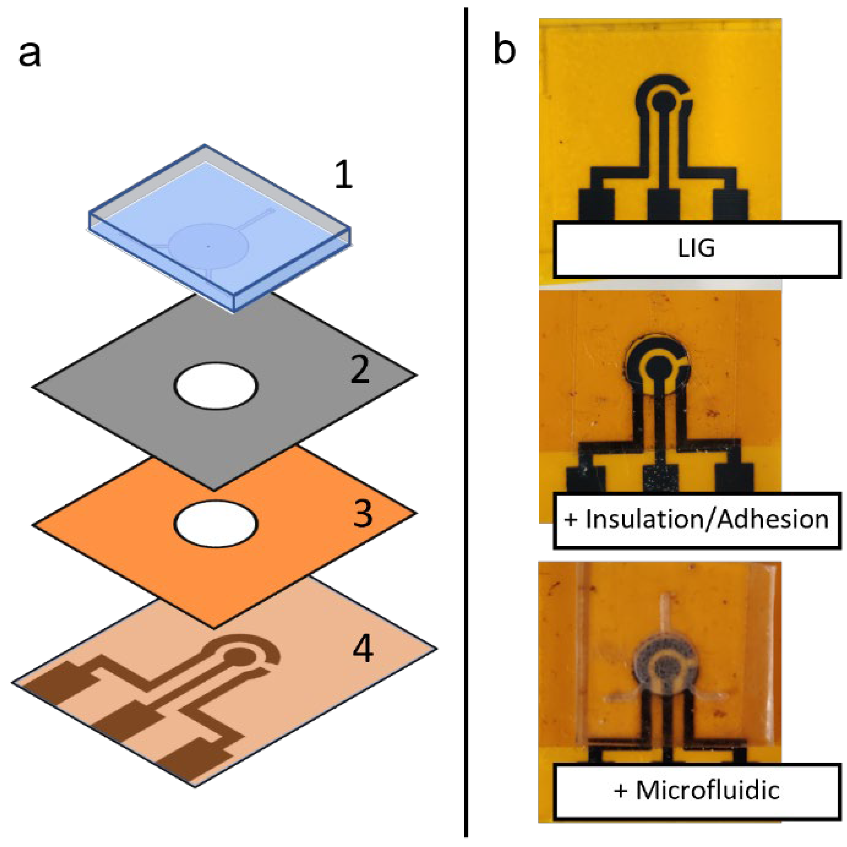 Micromachines 13 02214 g003