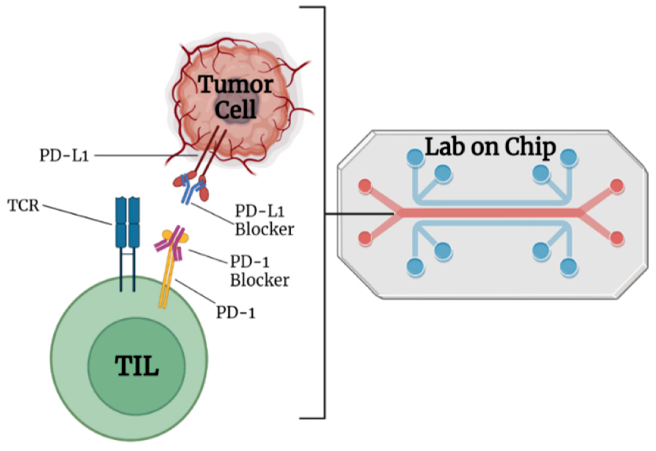 Micromachines 13 02217 g010