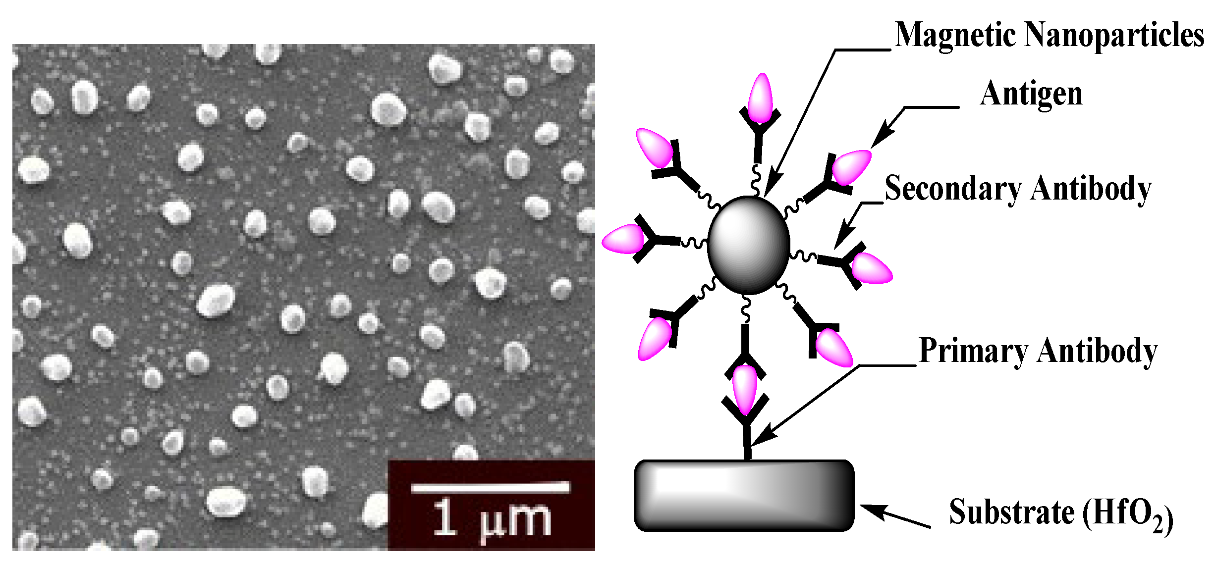 Micromachines 13 02235 g008 Micromachines 13 02235 g008