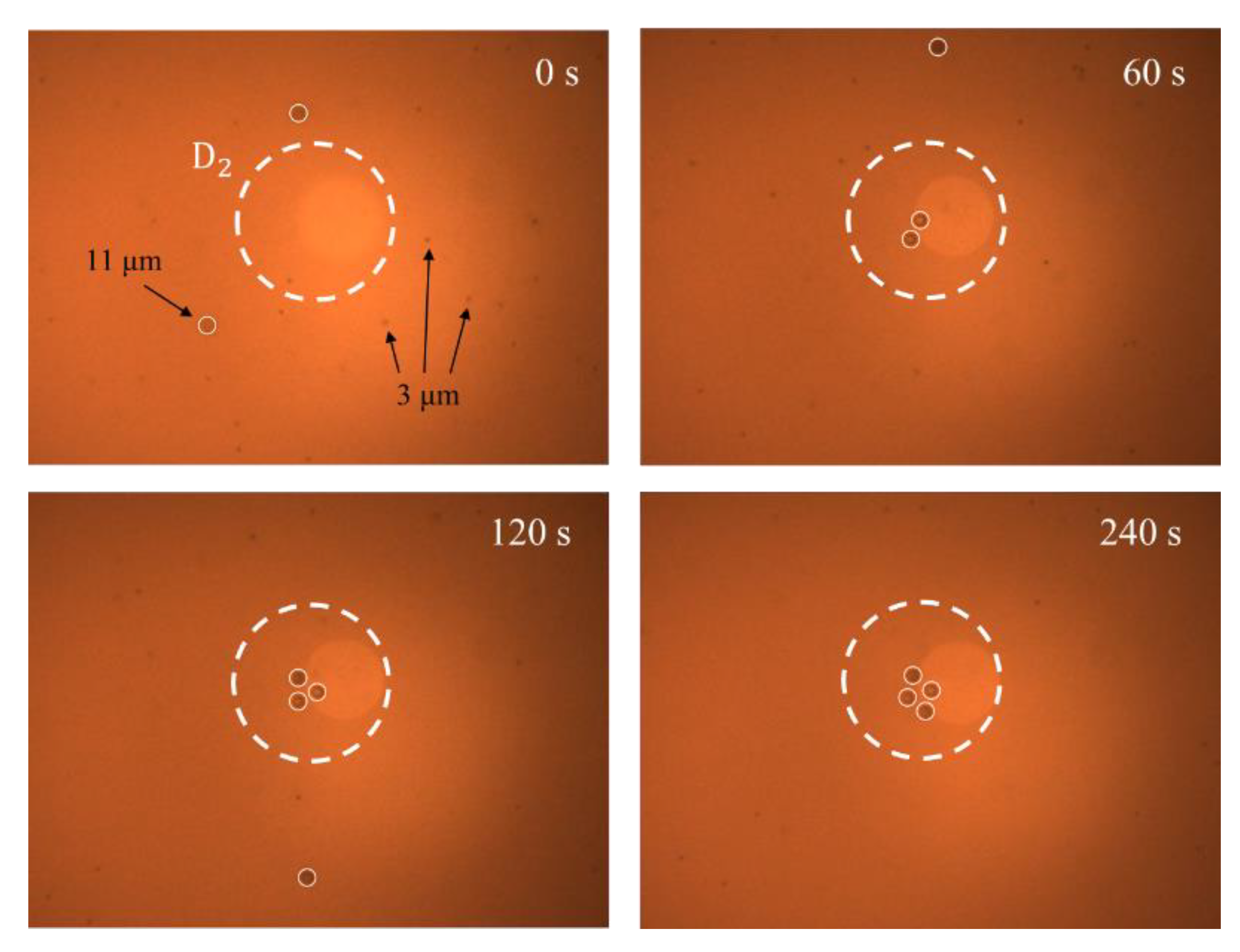 Micromachines 13 02245 g008 Micromachines 13 02245 g008