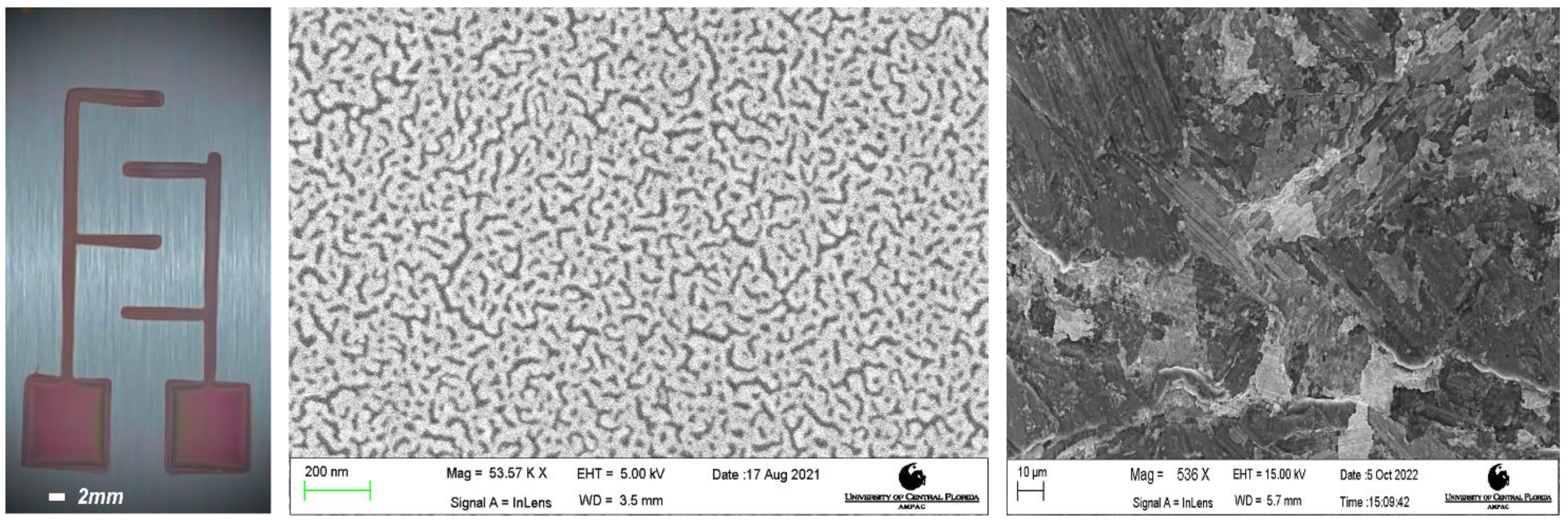 Micromachines 14 00014 g009