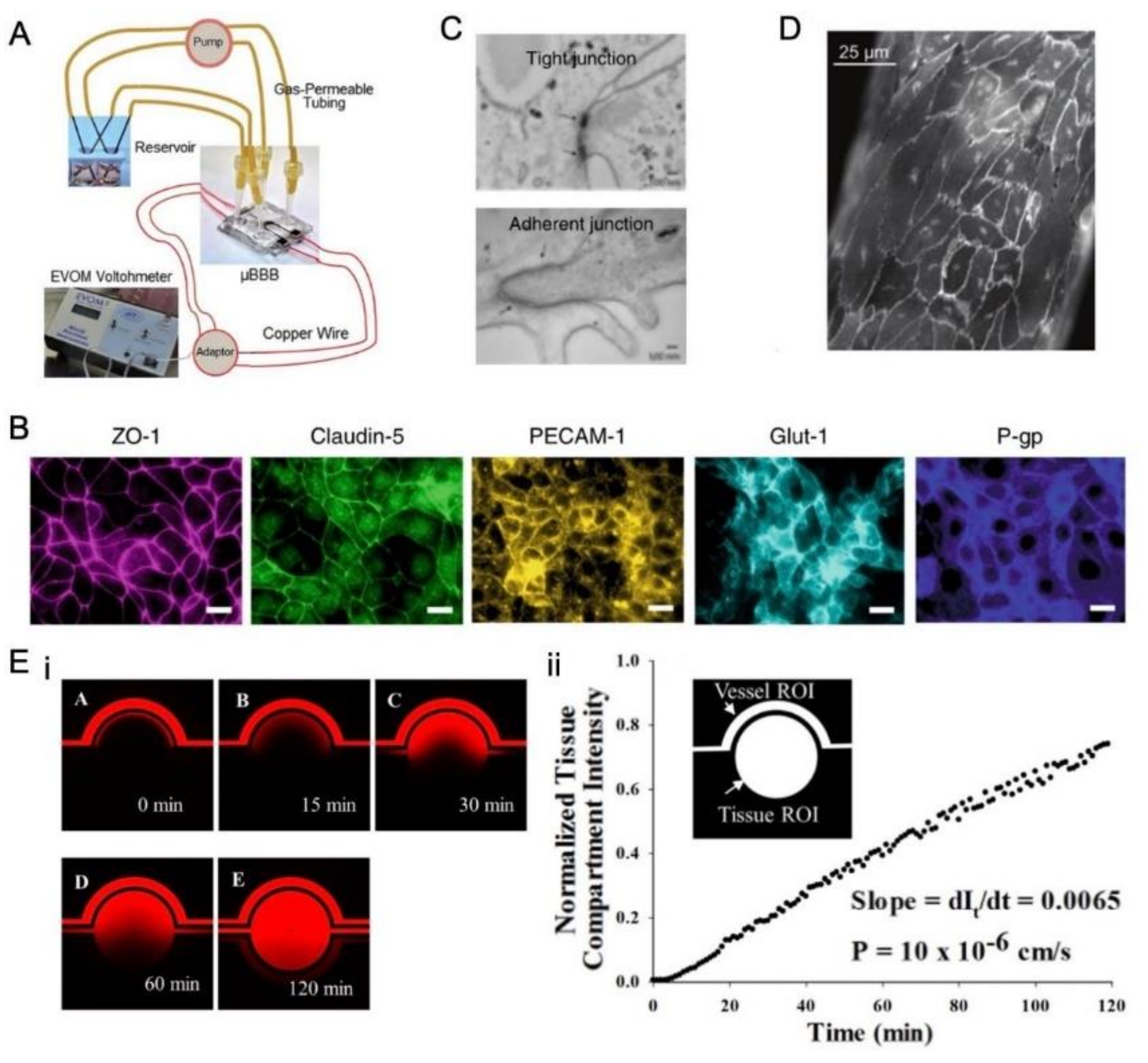 Micromachines 14 00112 g005