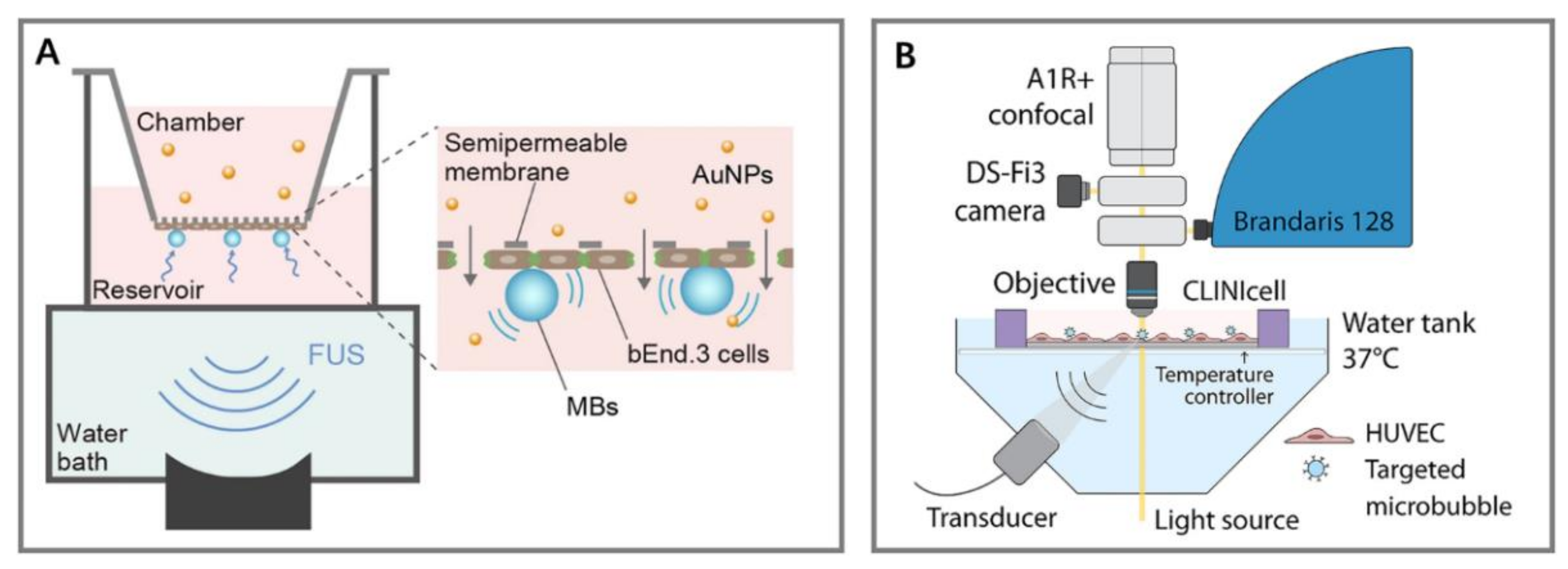 Micromachines 14 00112 g008
