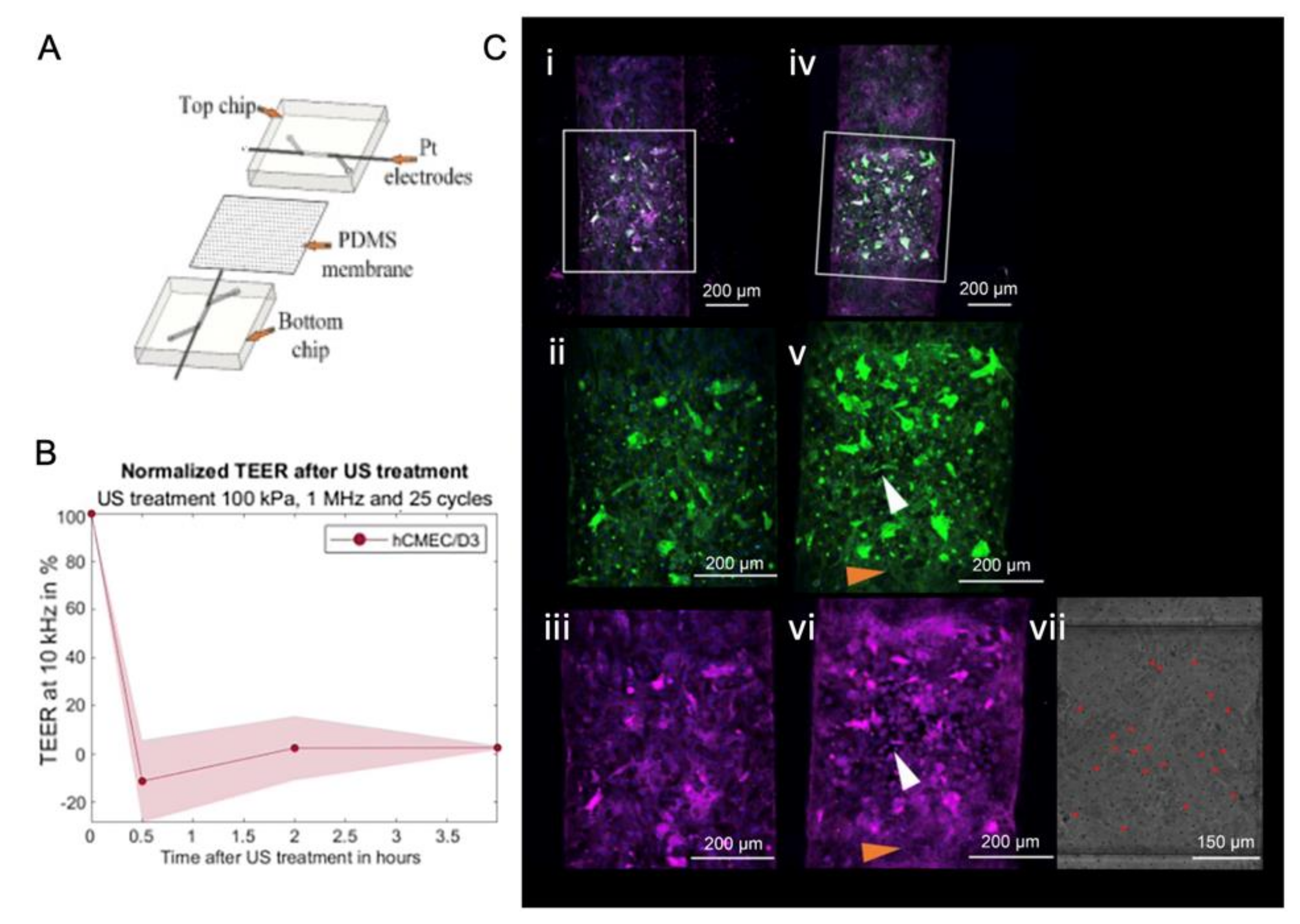 Micromachines 14 00112 g010
