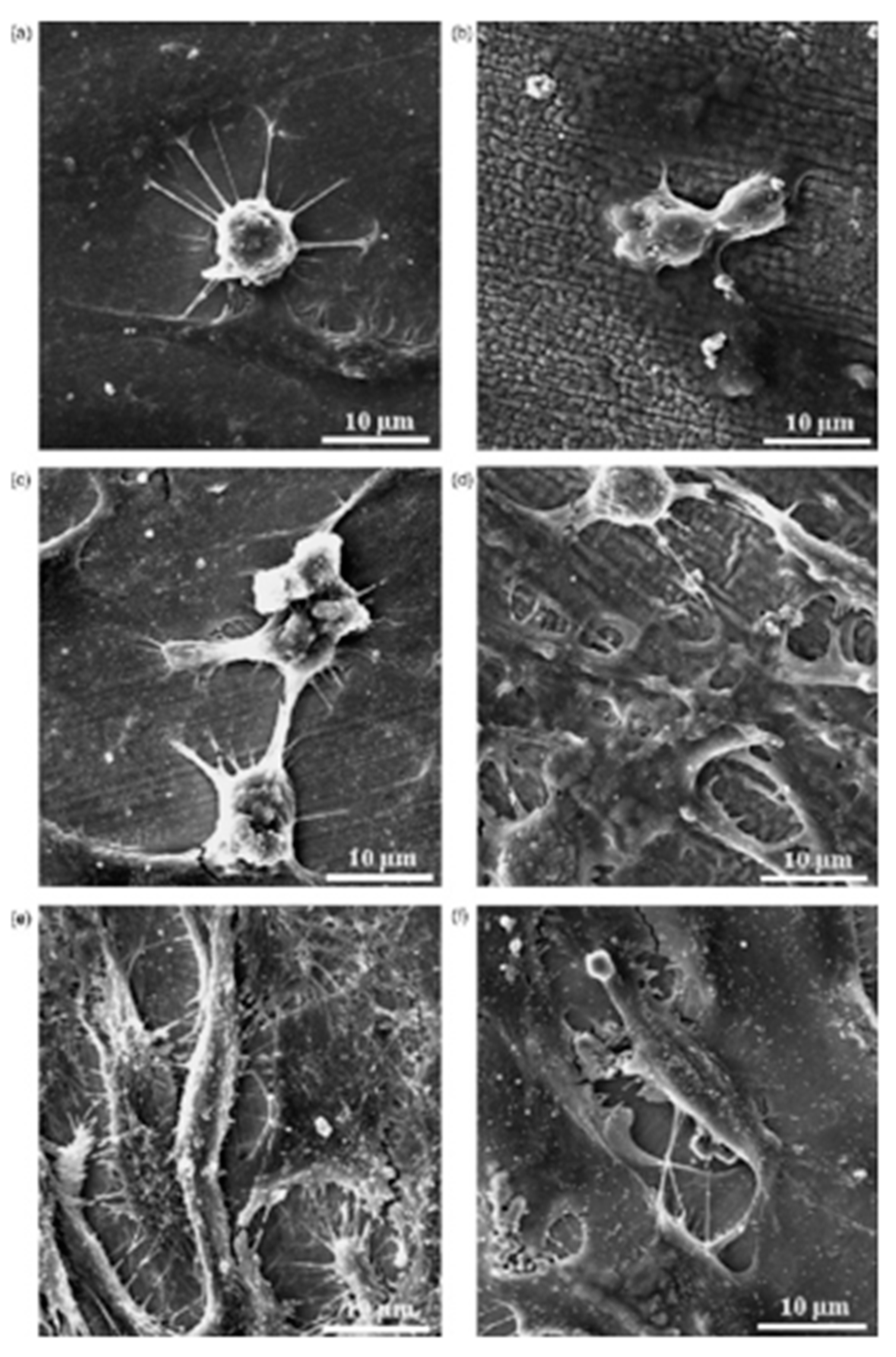 Micromachines 14 00115 g018 Micromachines 14 00115 g018