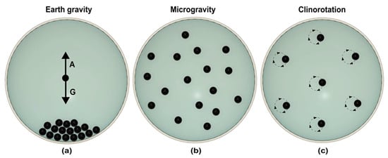 Gravity – Earth's Lab