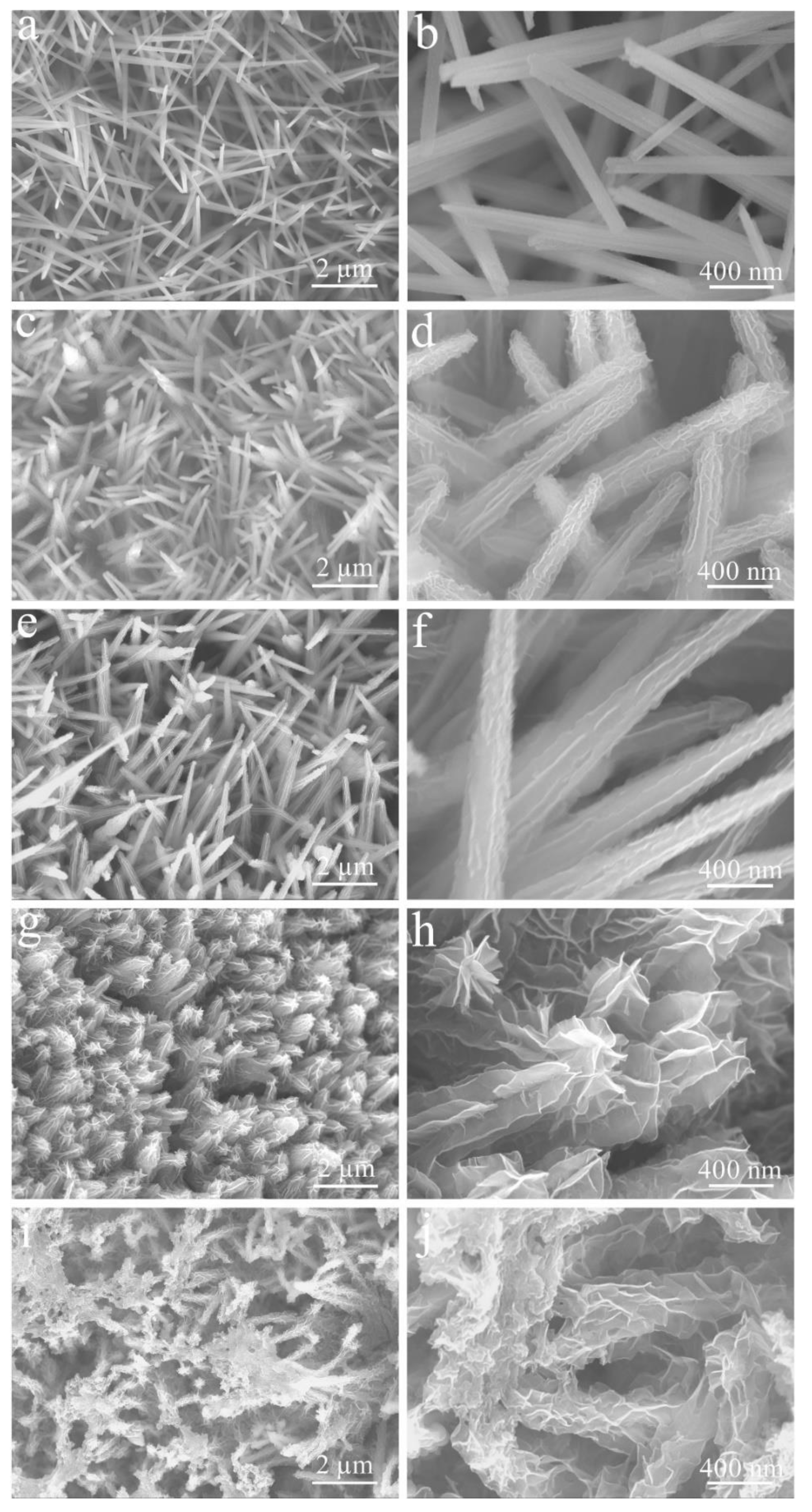 Micromachines 14 00125 g005