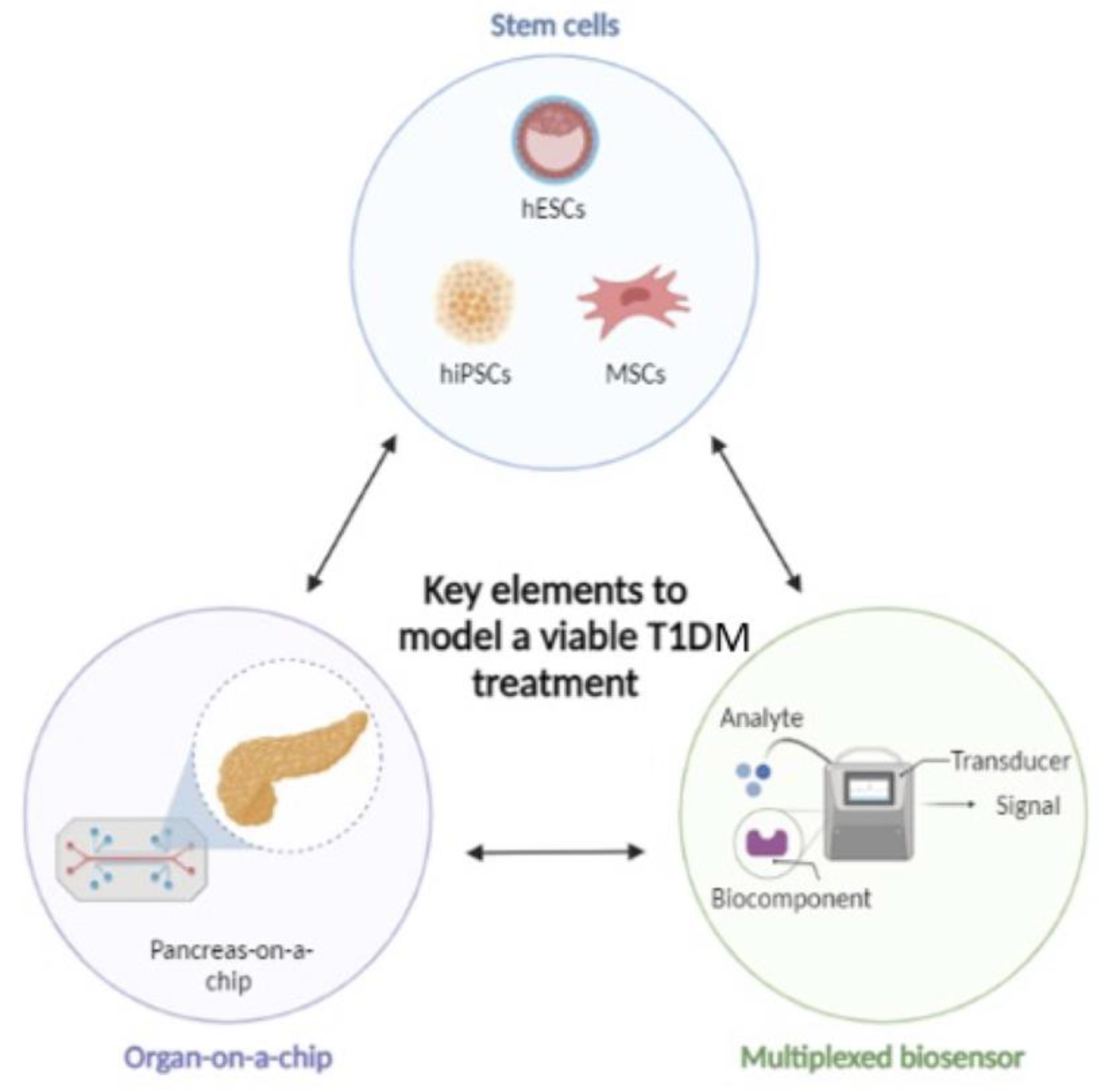 Stem-cell based organ-on-a-chip models for diabetes research